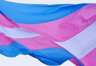 trans flag image.jpeg