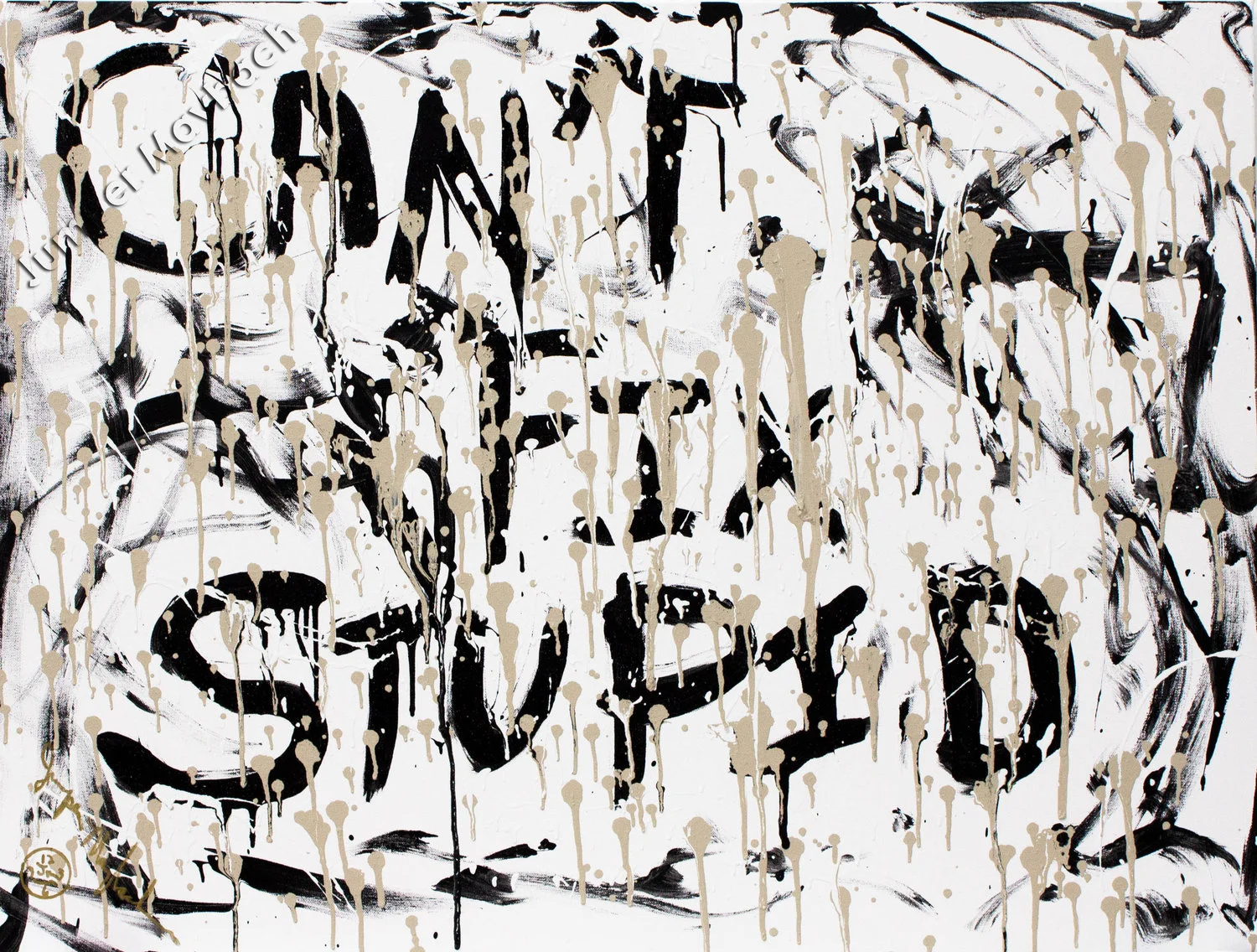 Jumper Maybach "Can't Fix Stupid" 30x40 From The Pride Collection: INTROSPECTION
