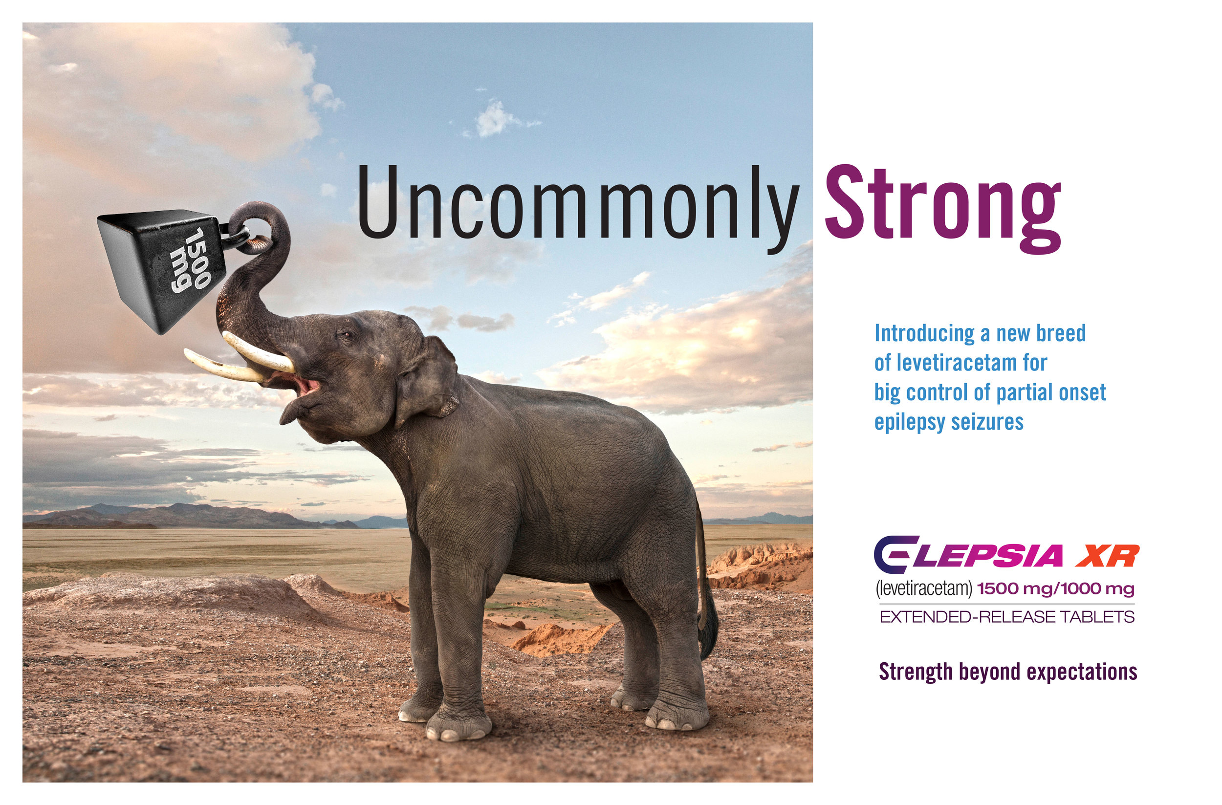 Elephant1.jpg