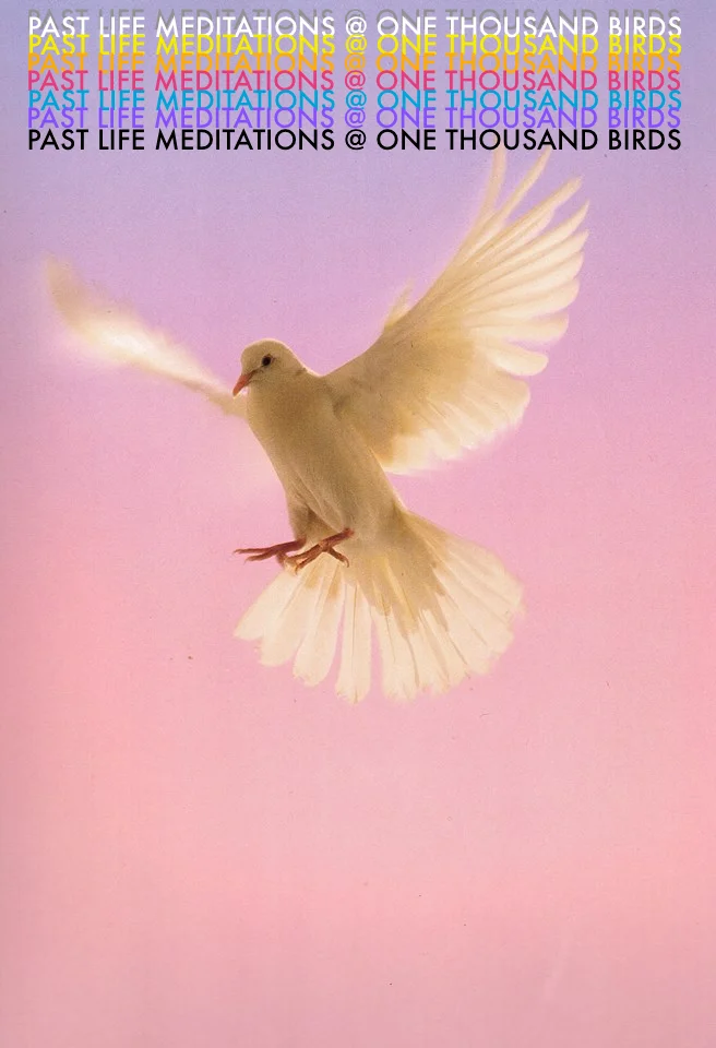 PLM@otbirds.jpg