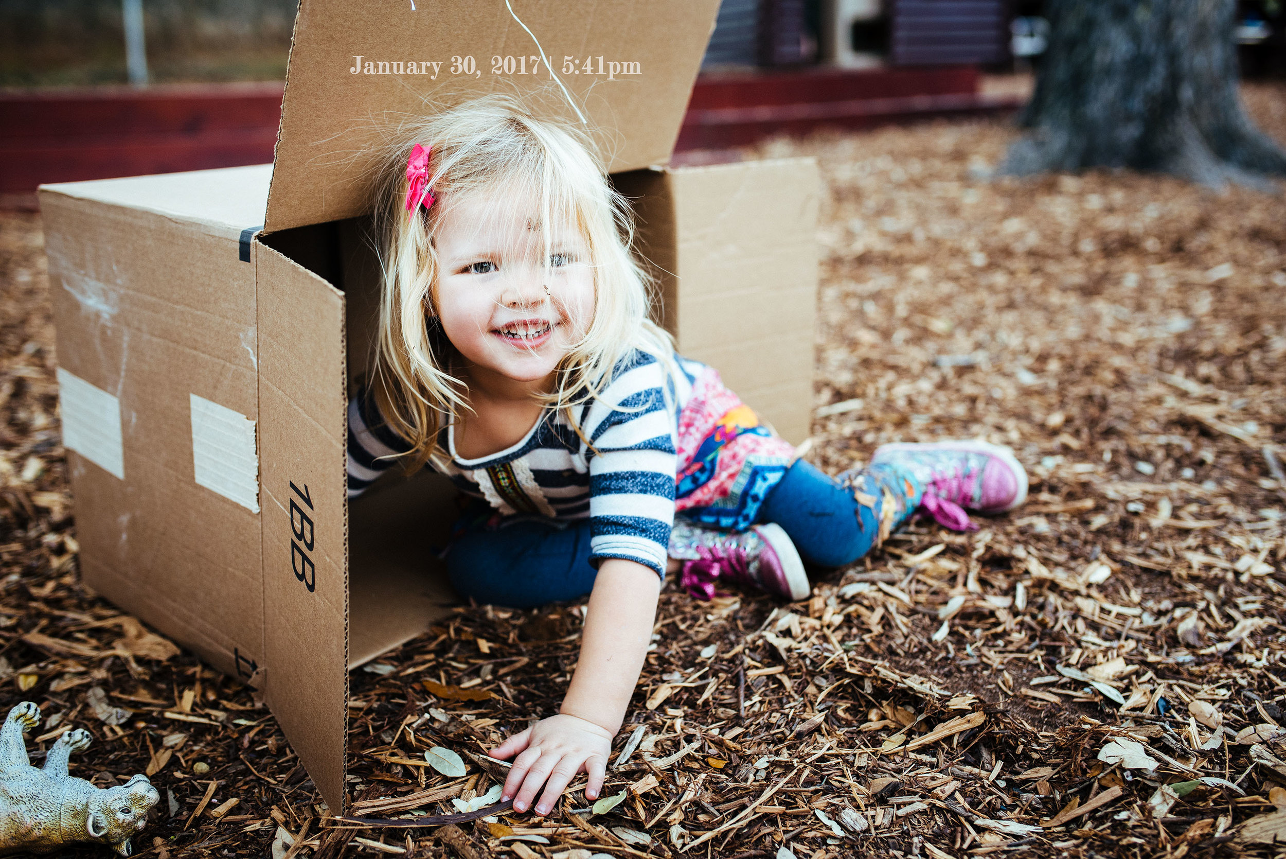 2017-01-30-Evie in SB box-19.jpg