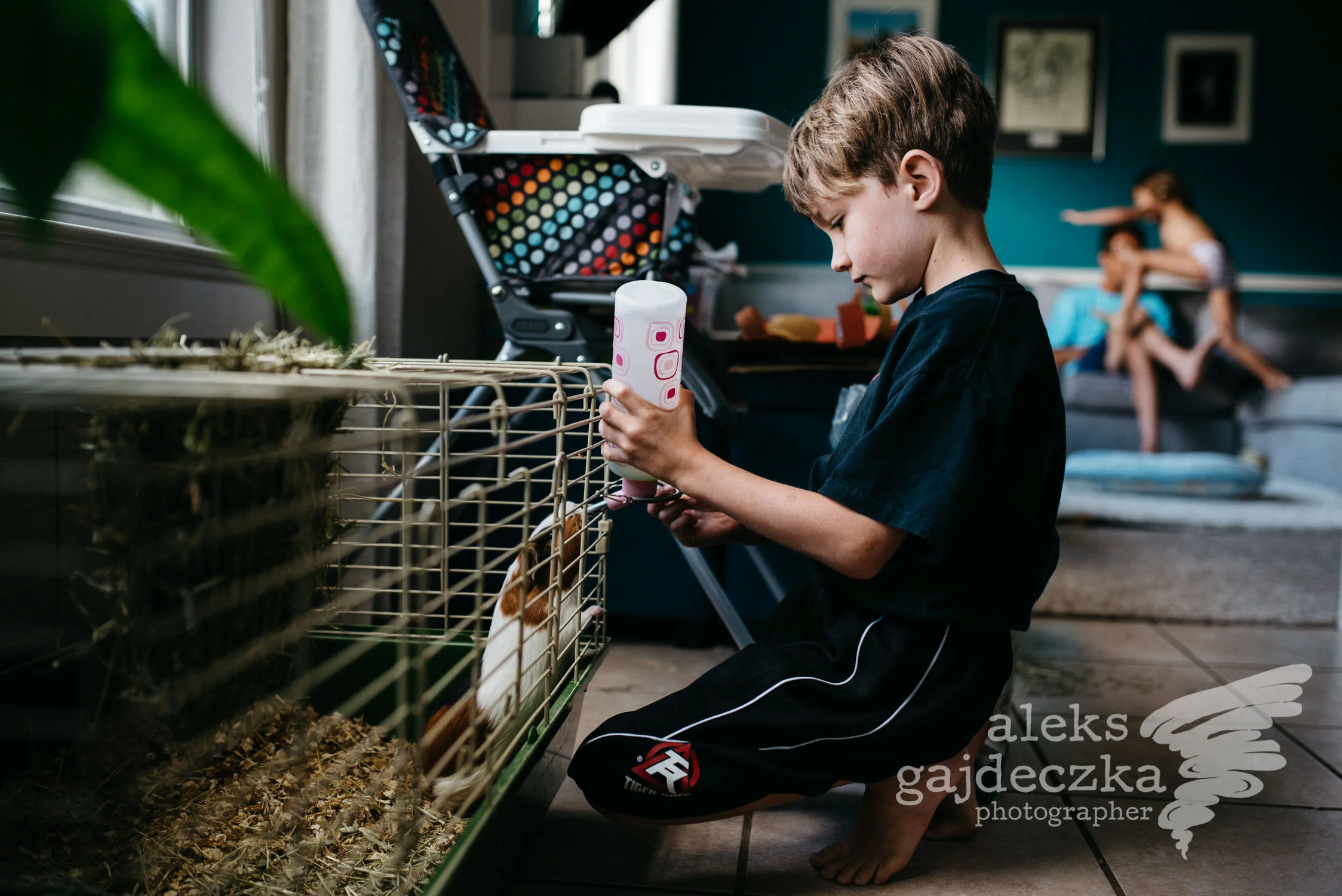 A summer afternoon with C & the crew