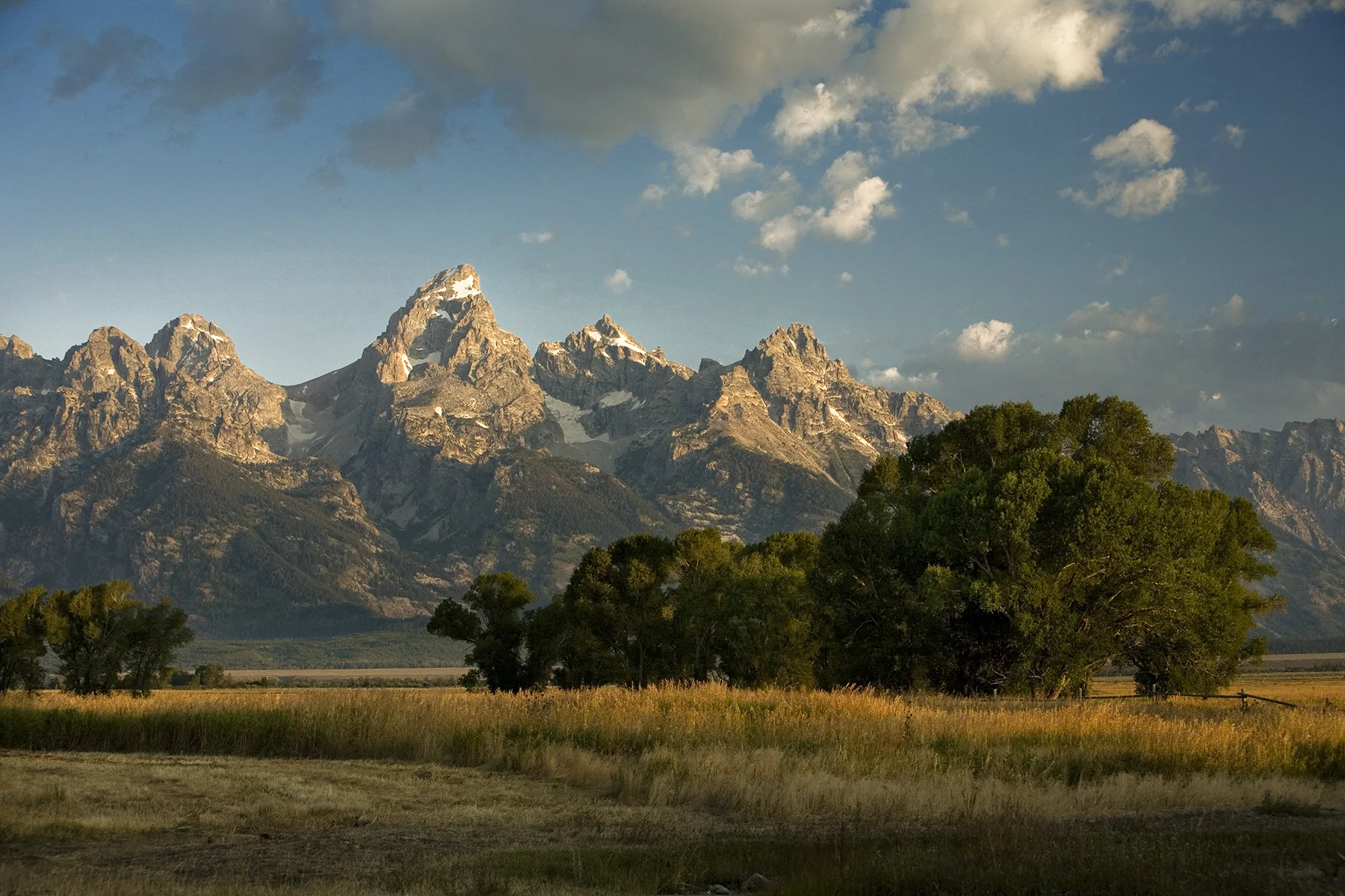Mormon Row | Grand Tetons
