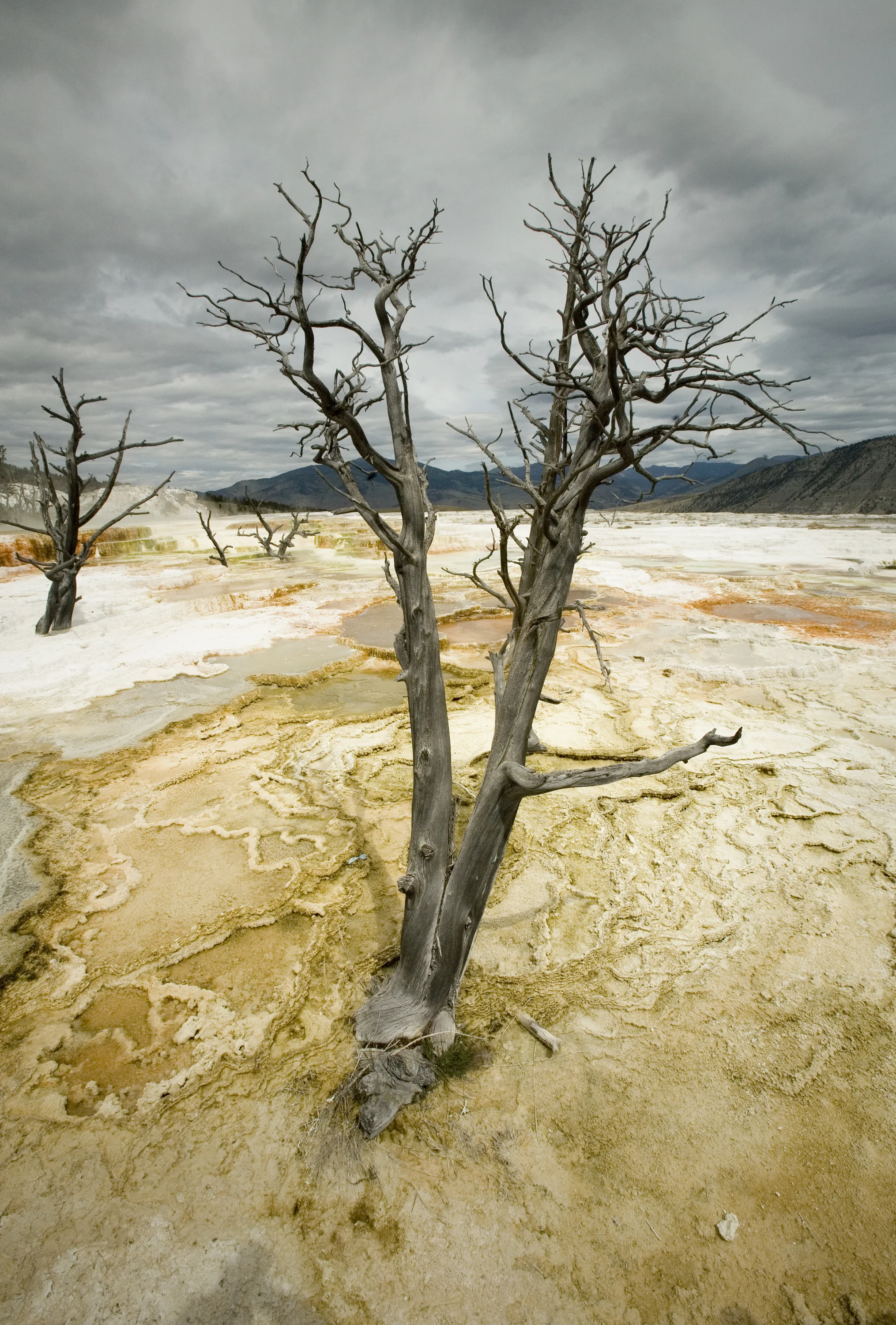 Geyser Basin | Yellowstone
