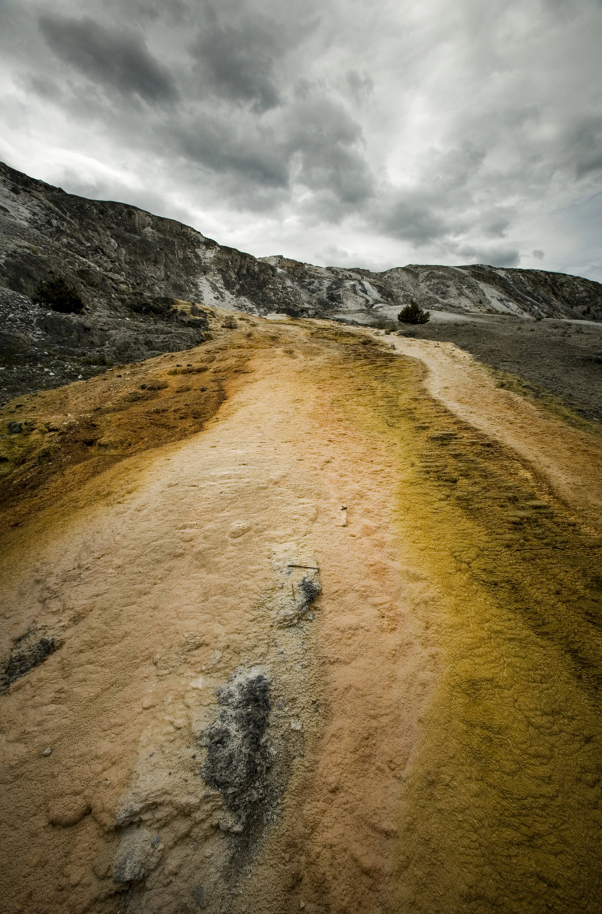 GEYSER FIELD | YELLOWSTONE