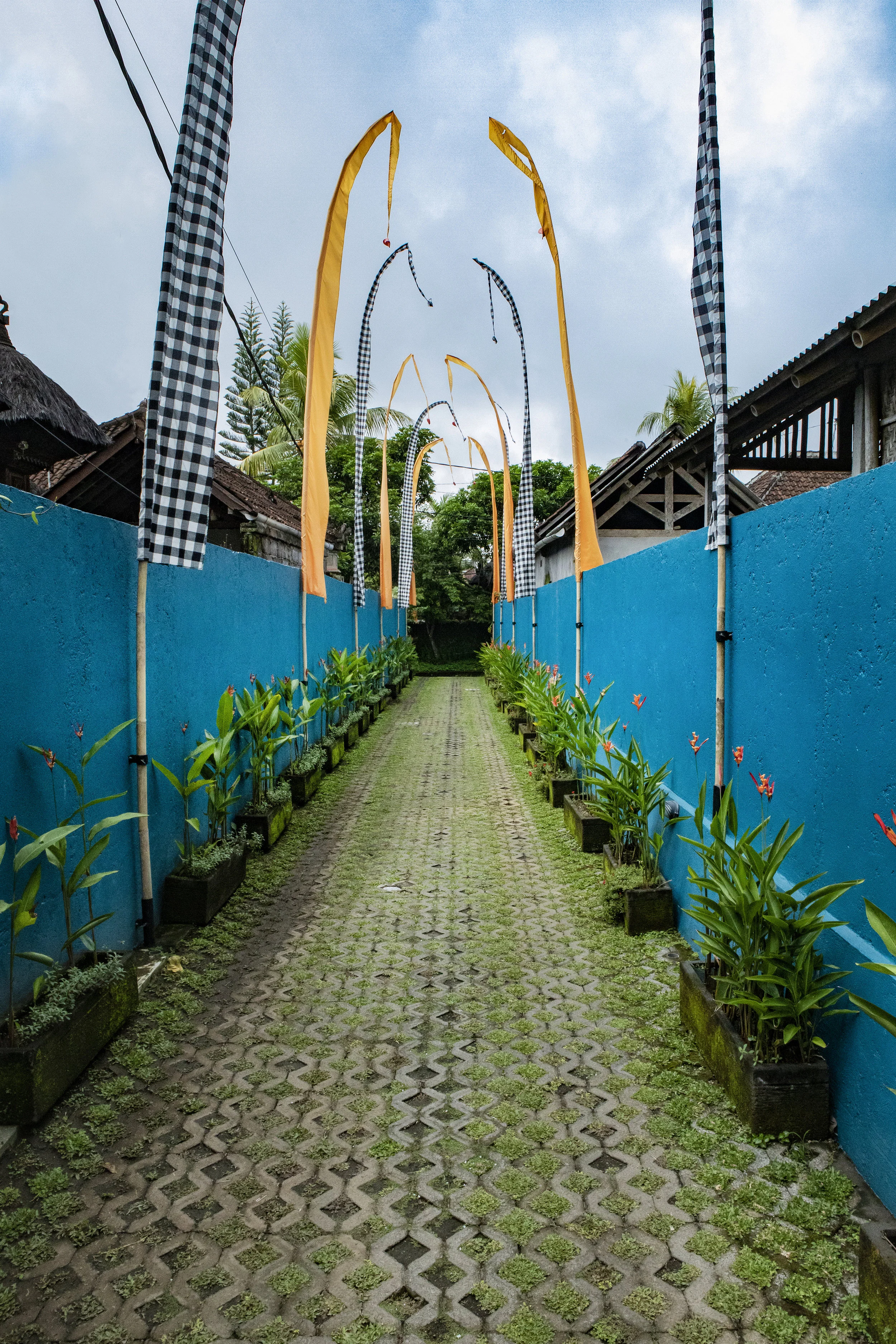 BALI — UBUD