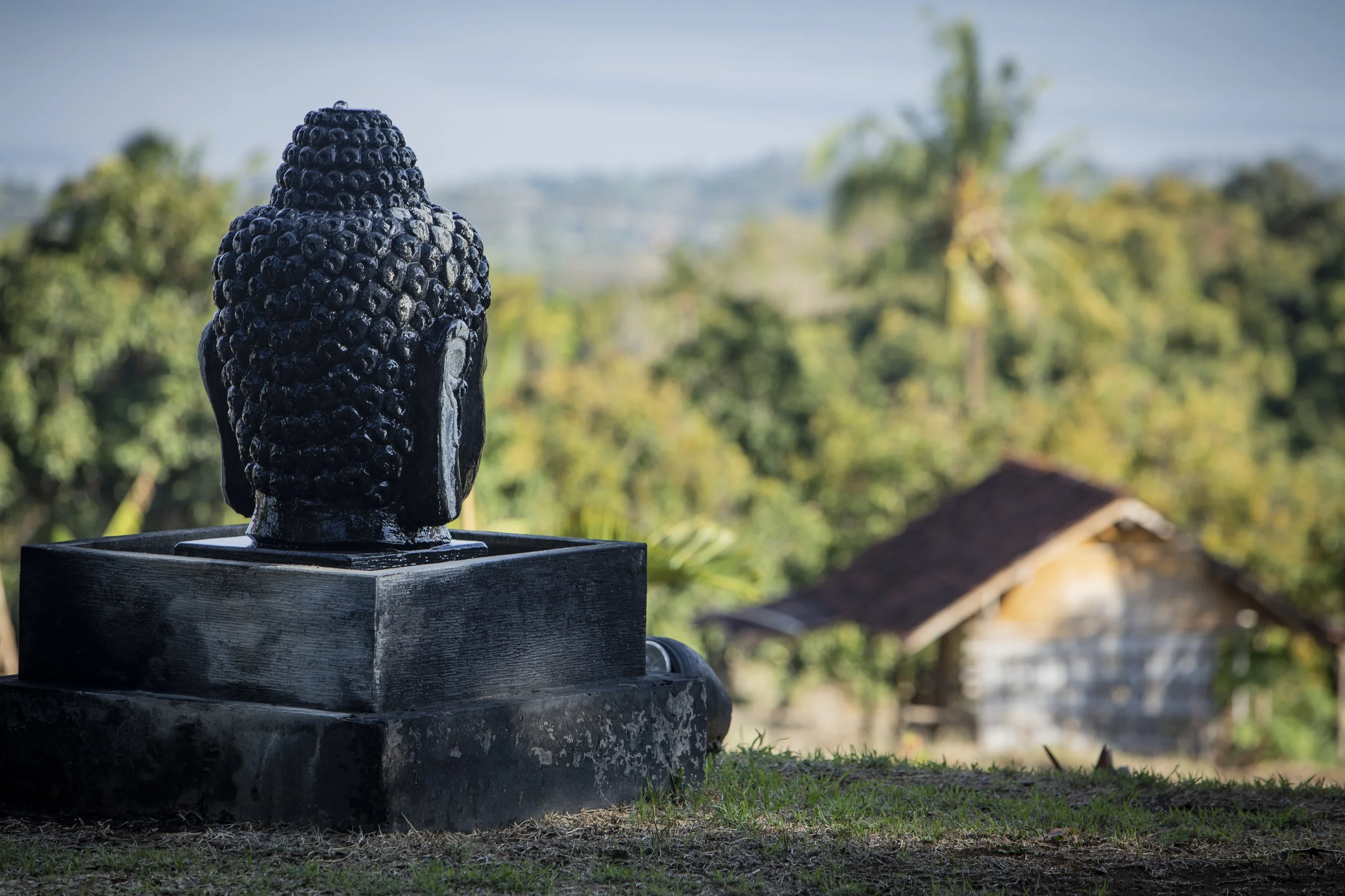 Buddha_NorthCoast_7Q9A0709.jpg