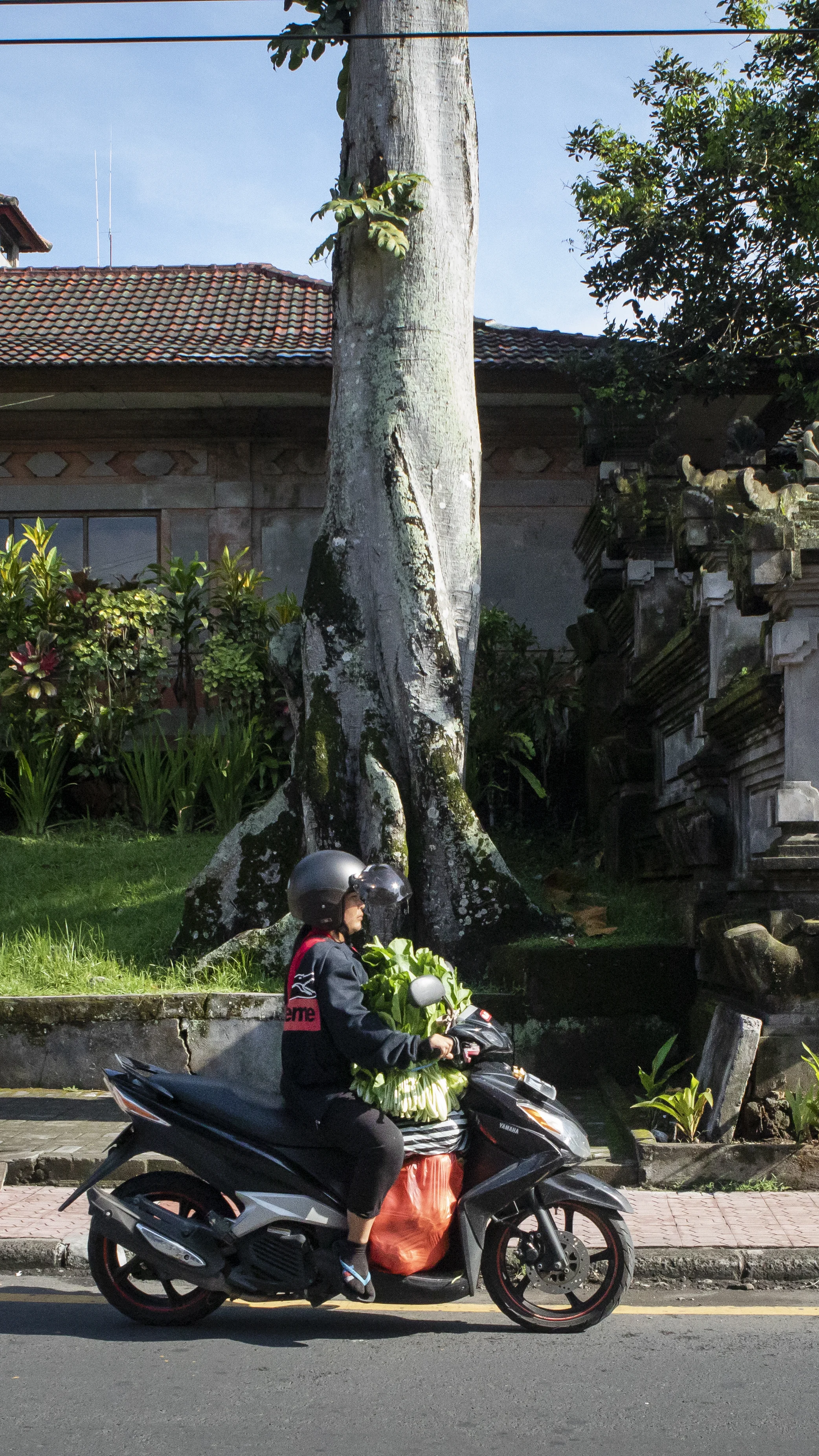BALI