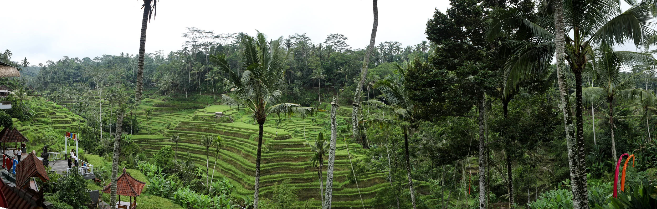 BALI