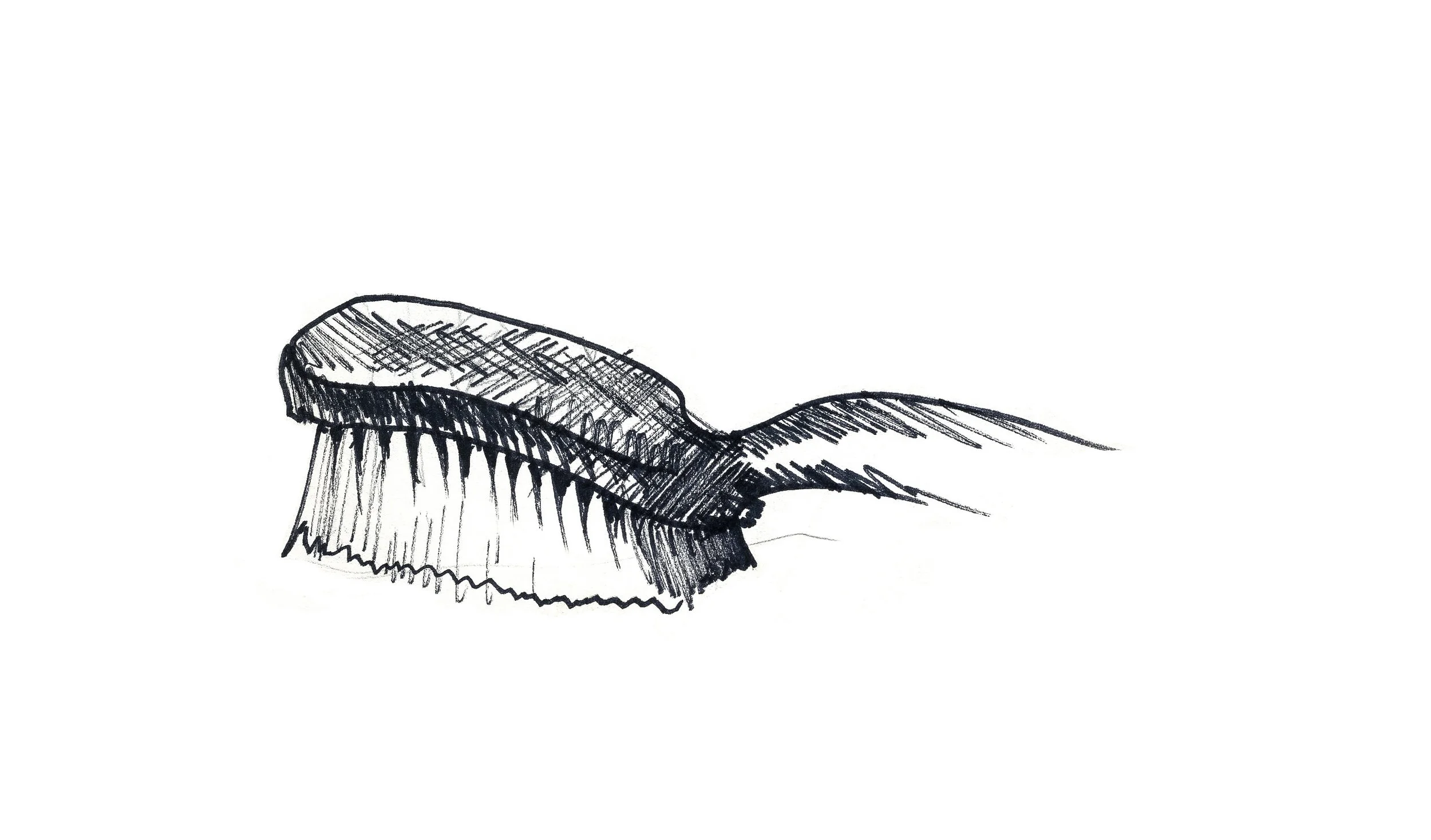 Sketches251_BrushCU.jpg