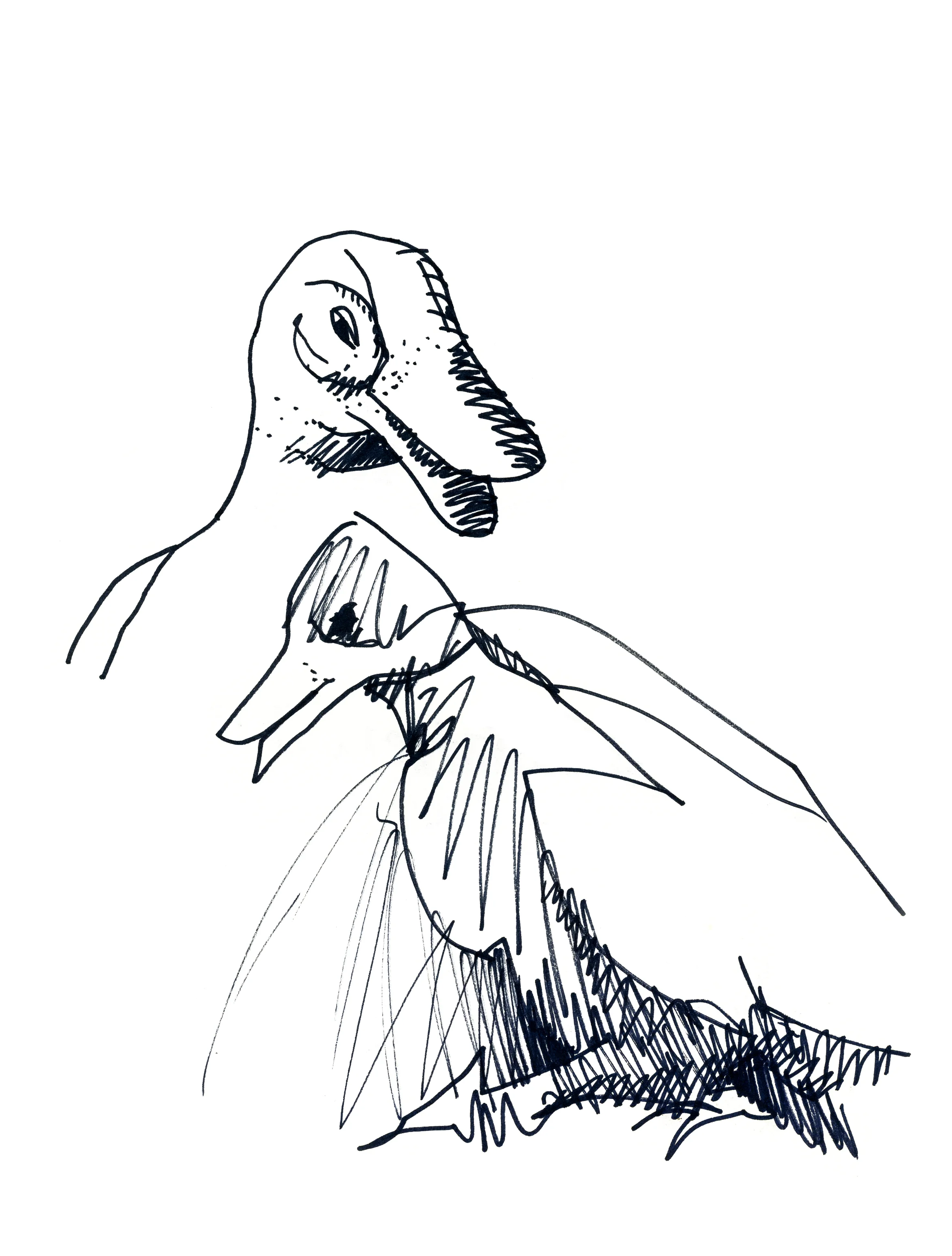 1968_sketchbook_17.jpg