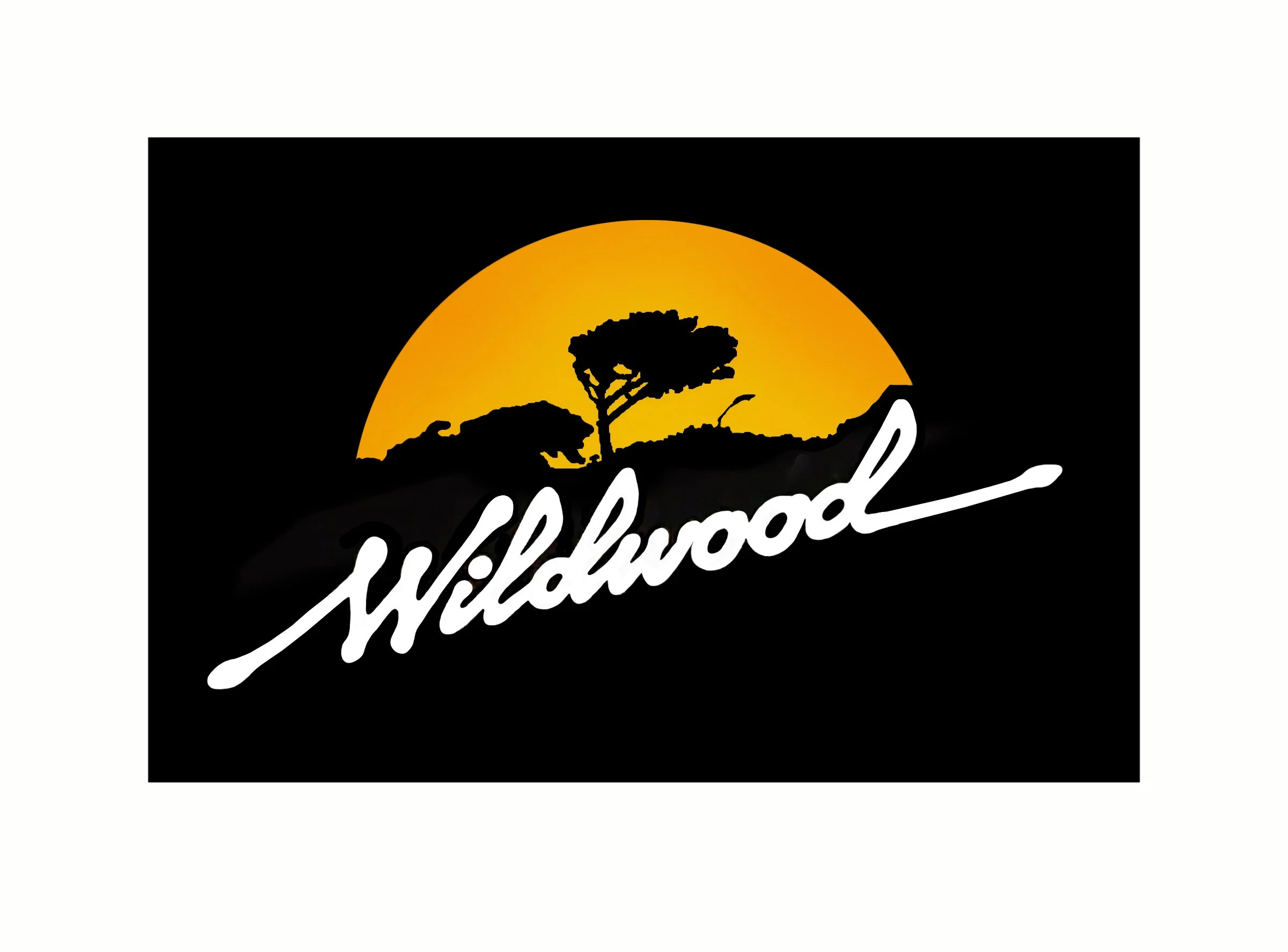 WILDWOOD BAND | GRAPHIC DESIGN | T-SHIRT