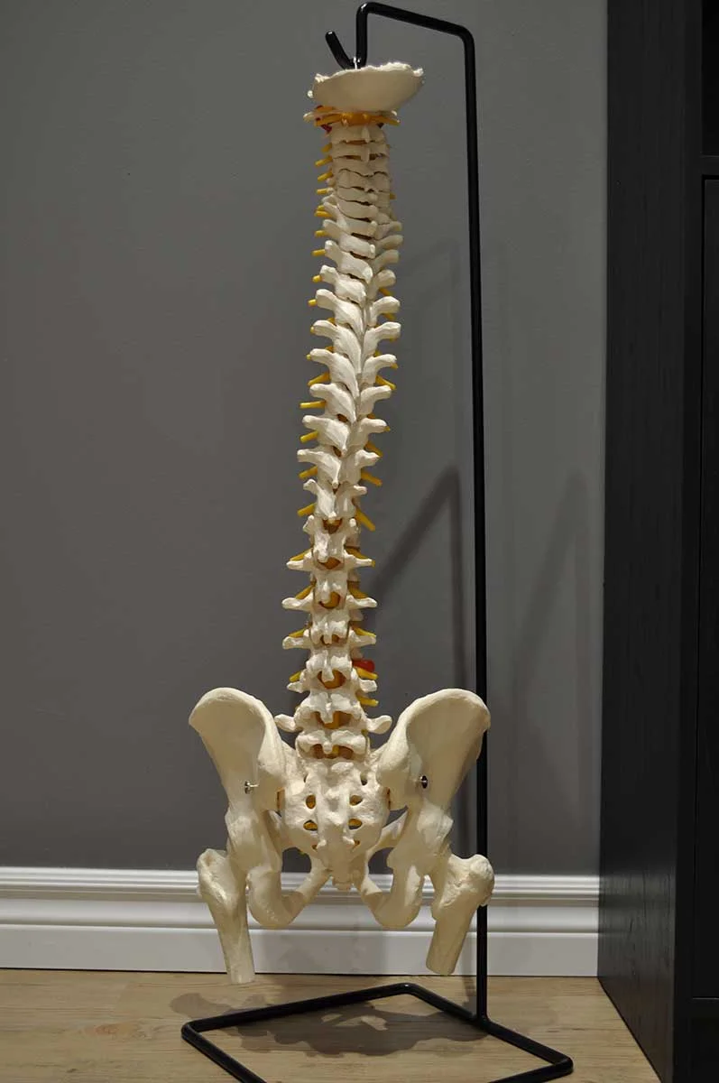 fusion-physio-007.jpg