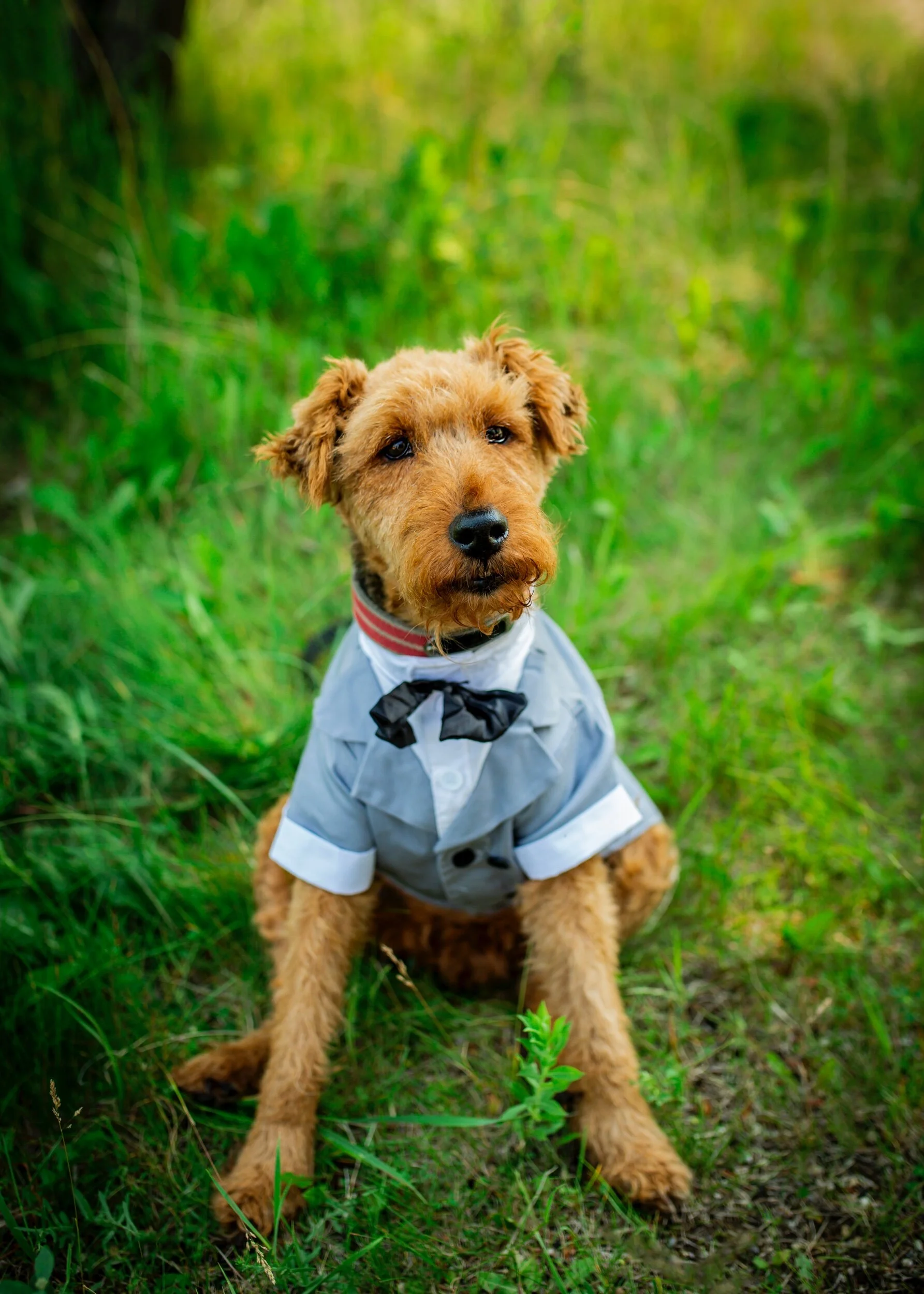 81CA7A05-E923-4011-99D7-54B07C2A365F