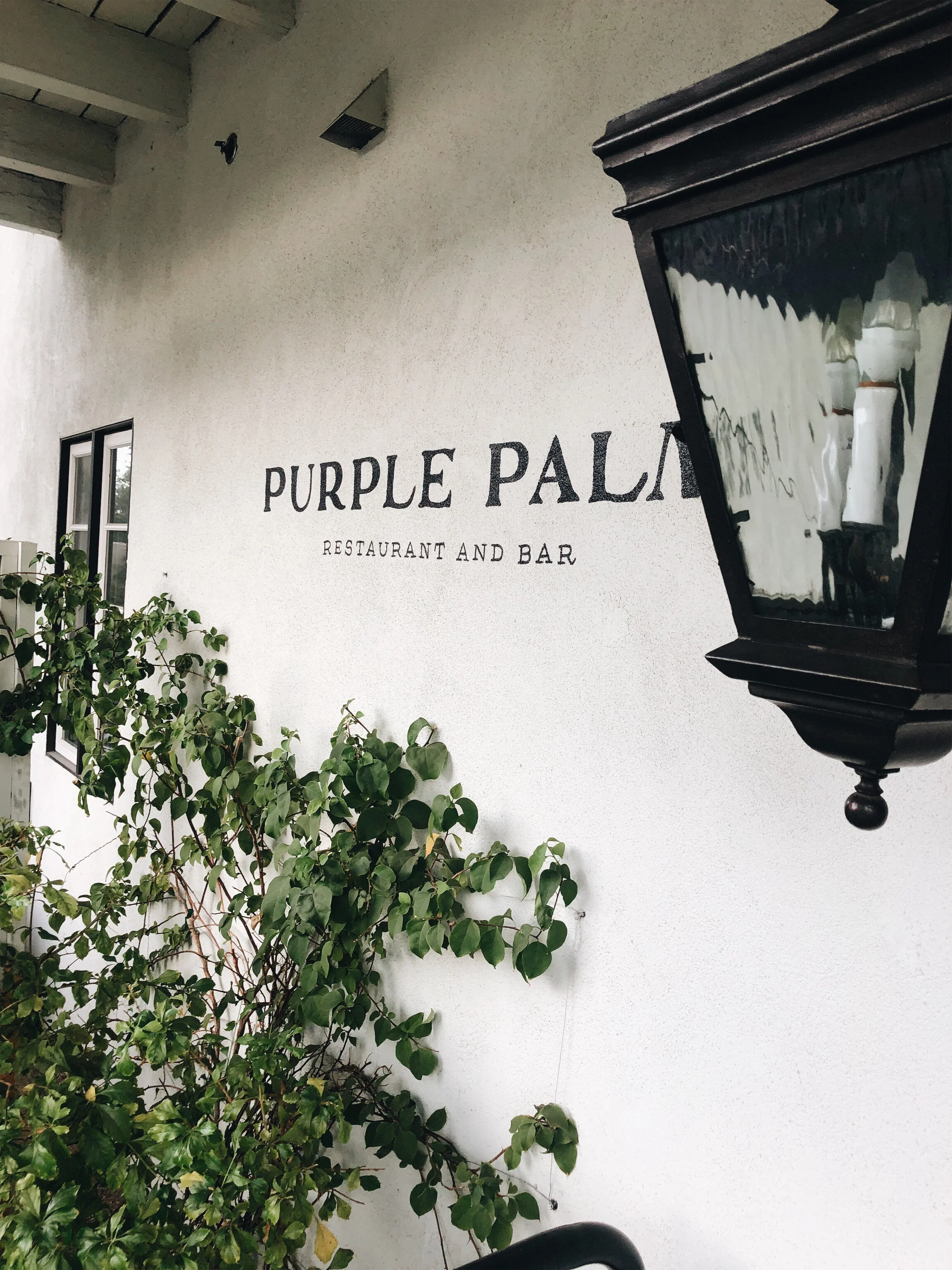 The Purple Palm.jpg