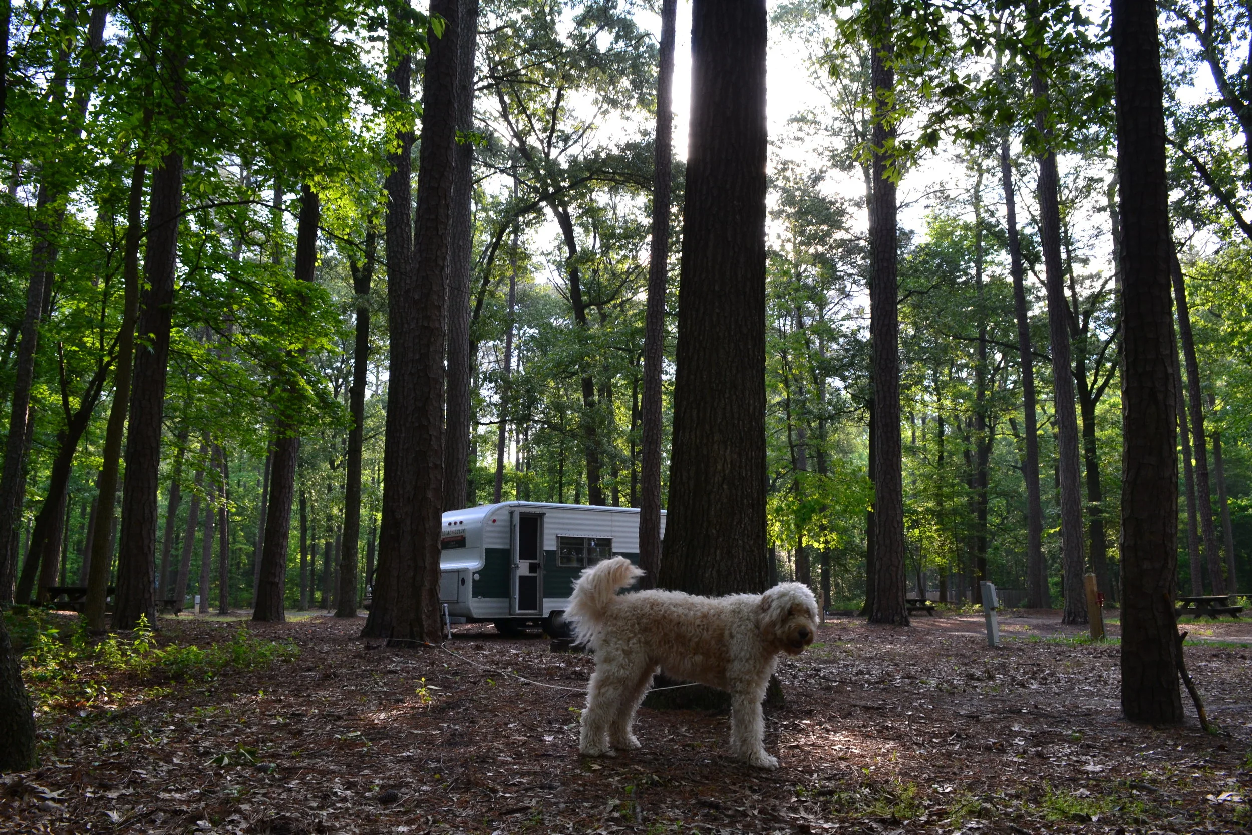 Road Trip USA: Don't forget Delaware!