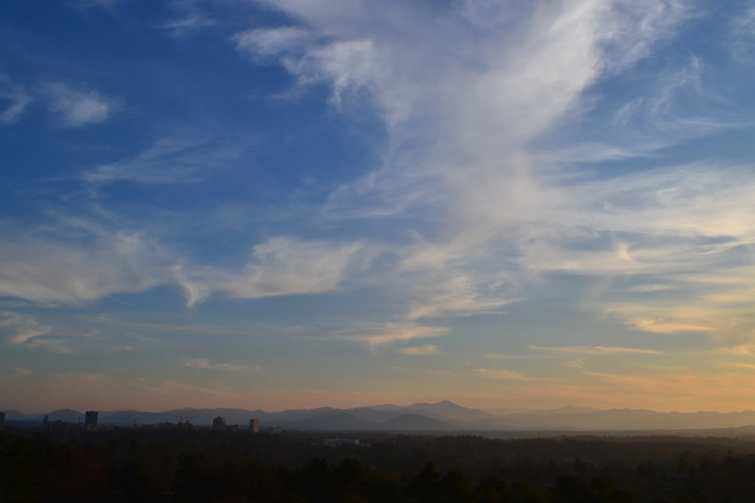 Road Trip USA: A walk on the wild side in Asheville, N.C.