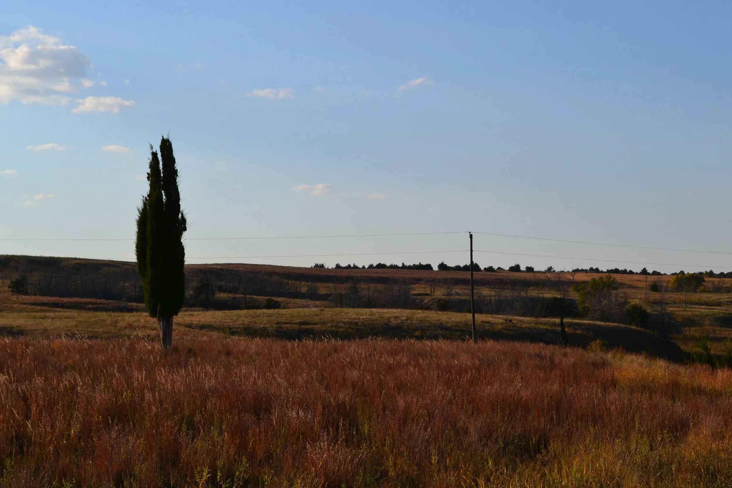 Attack of the Clones