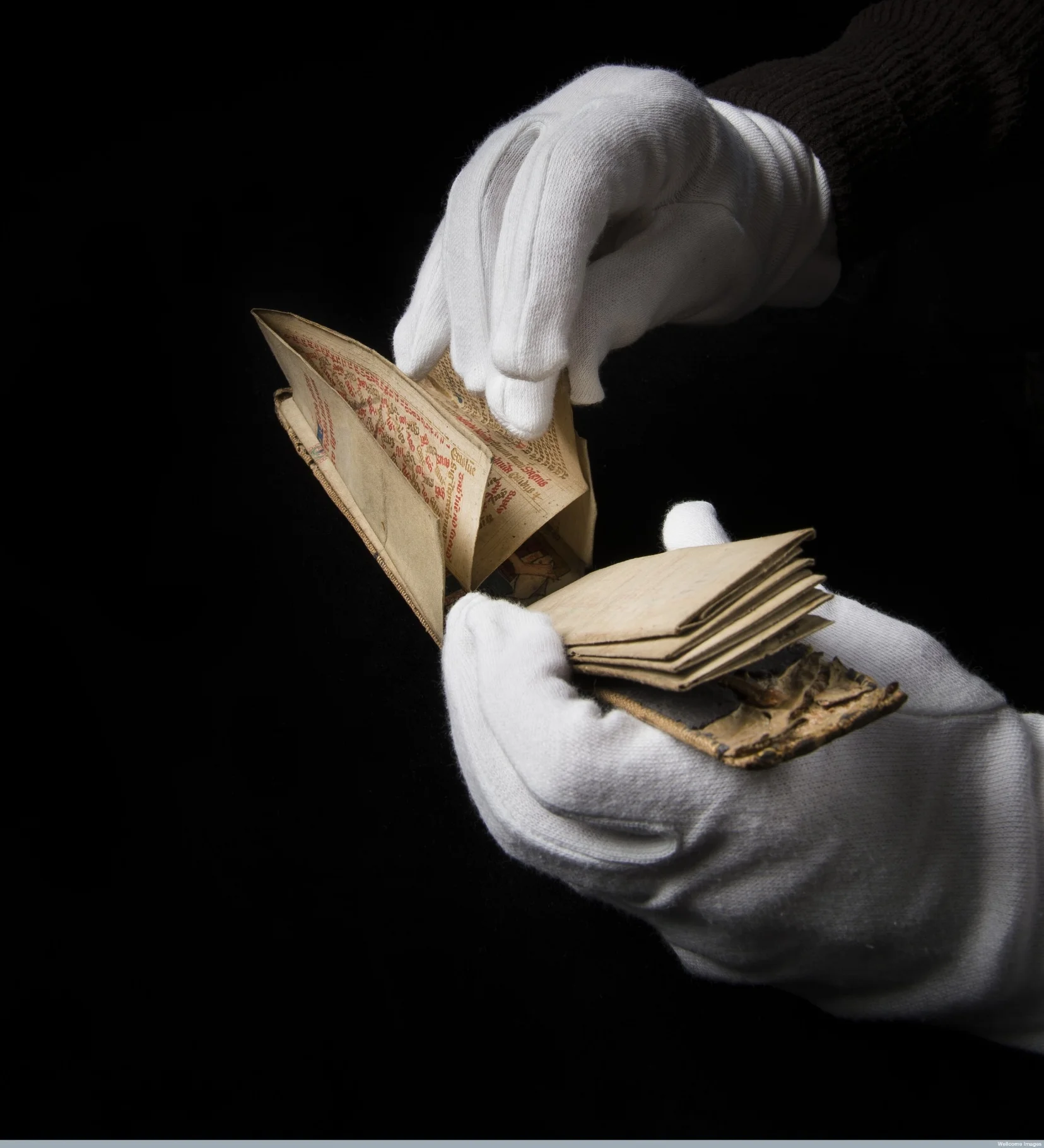 Wellcome Library MS 8932. Shout out to Magic Hands!