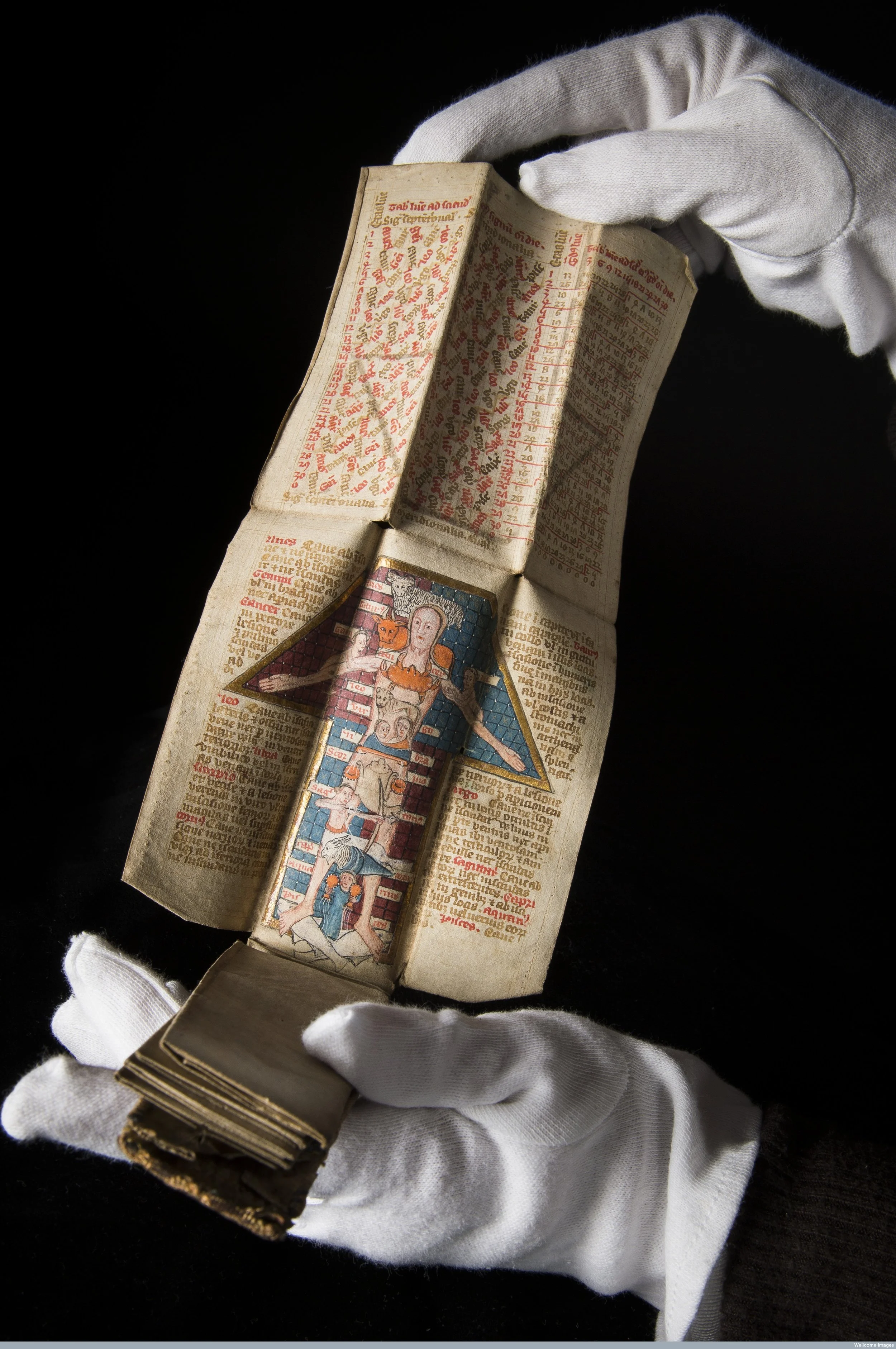 Wellcome Library MS 8932 Zodiac Man