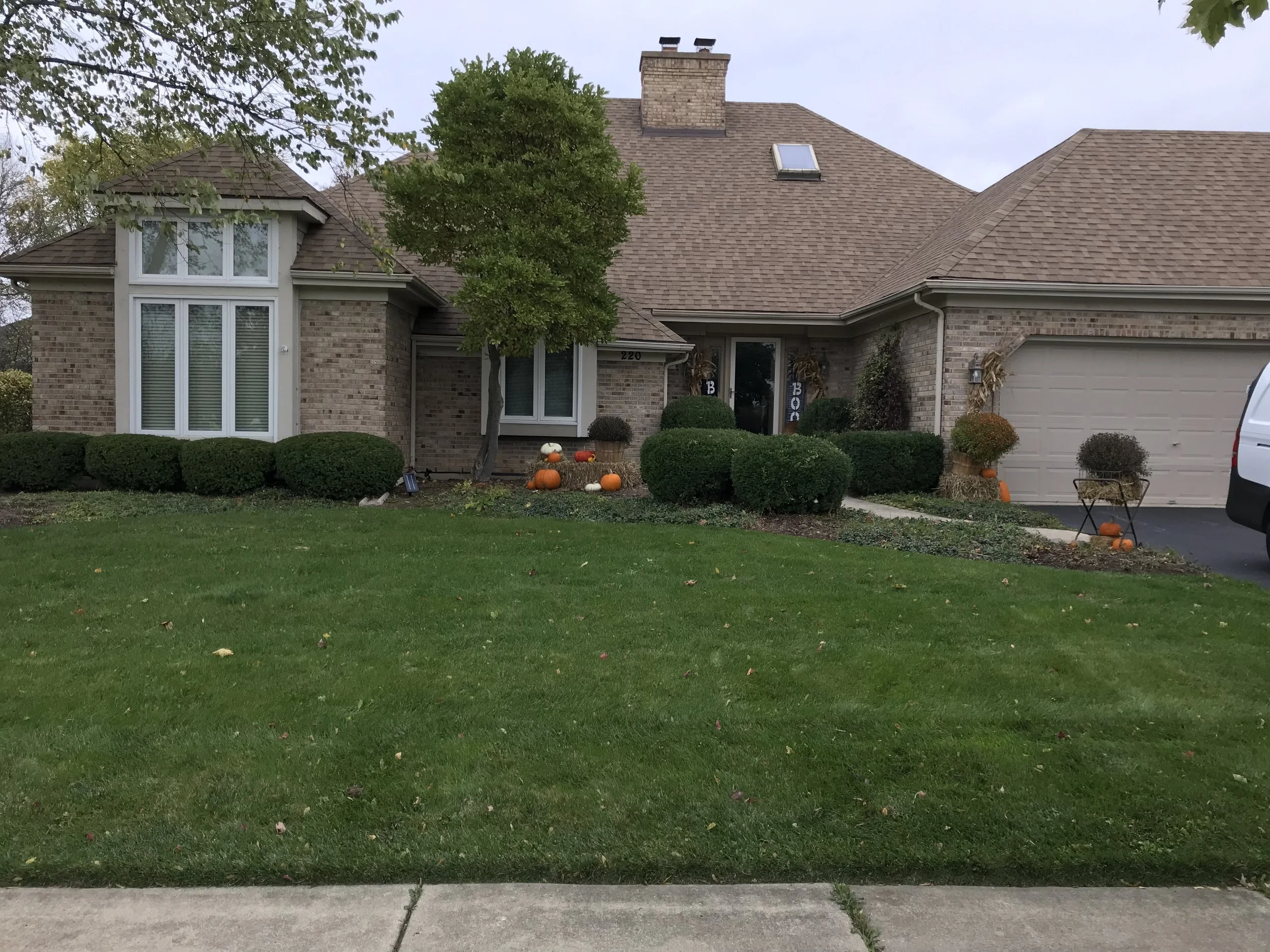 Persimmon residence - before