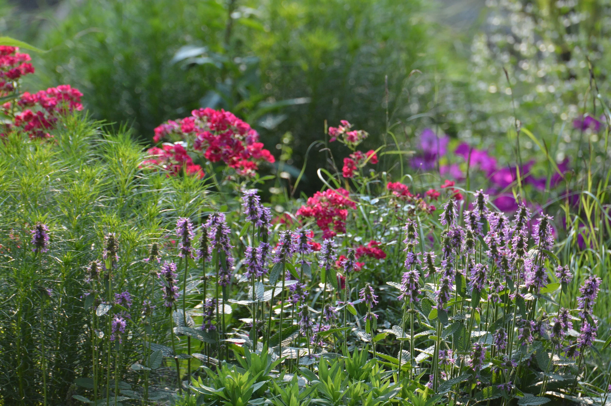 Formal Garden