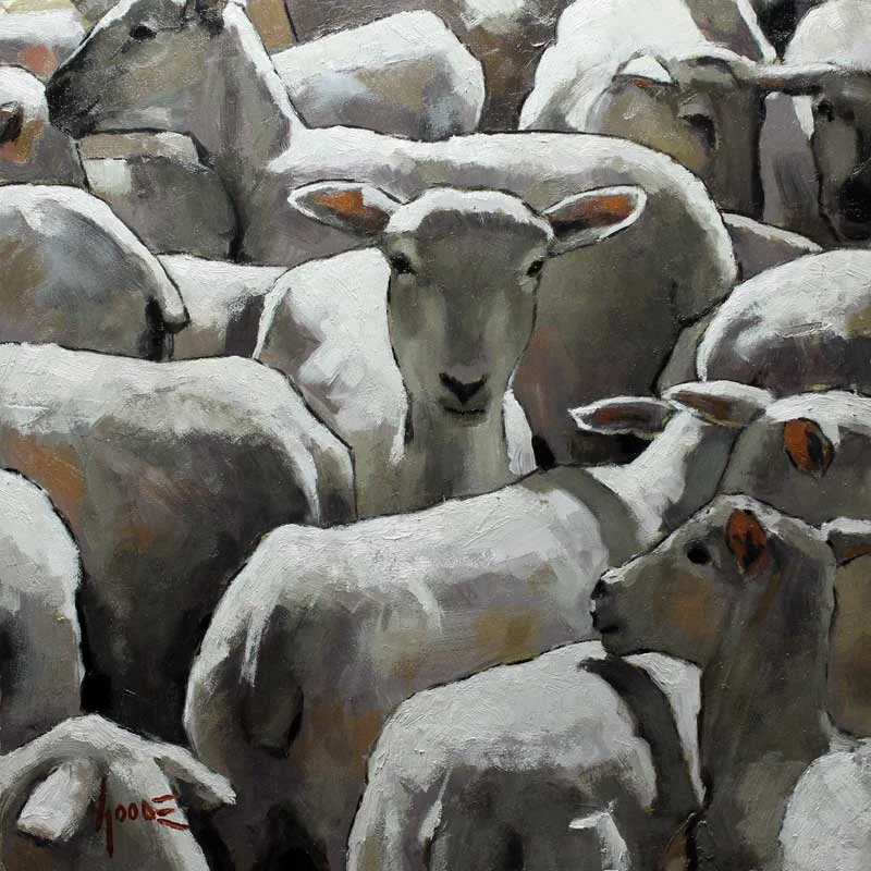 Crowd of Sheep