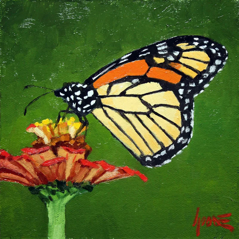 Monarch on Zinnia No.1