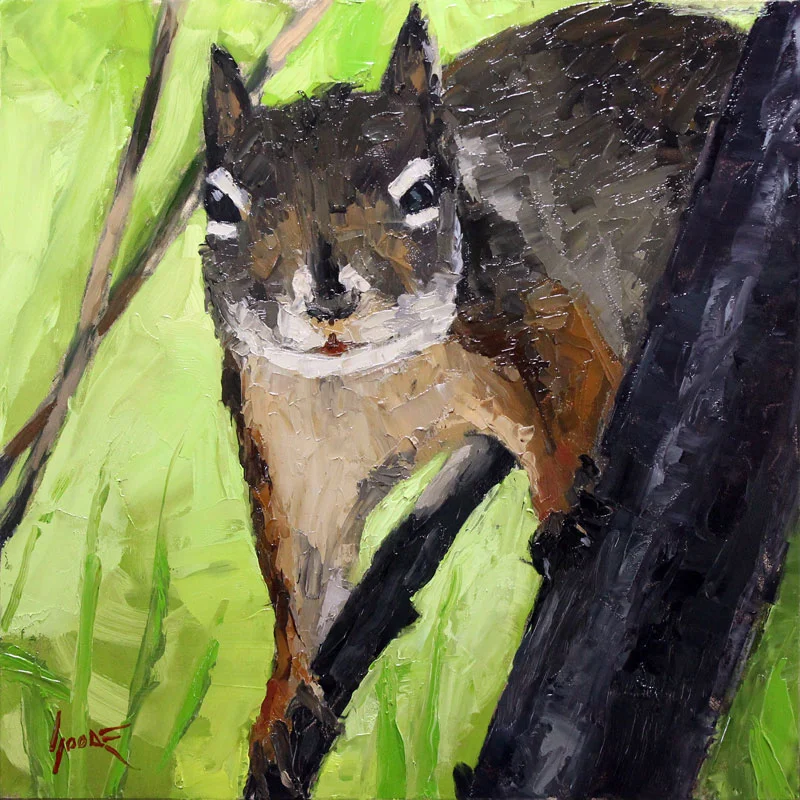 Grey Squirrel No.4