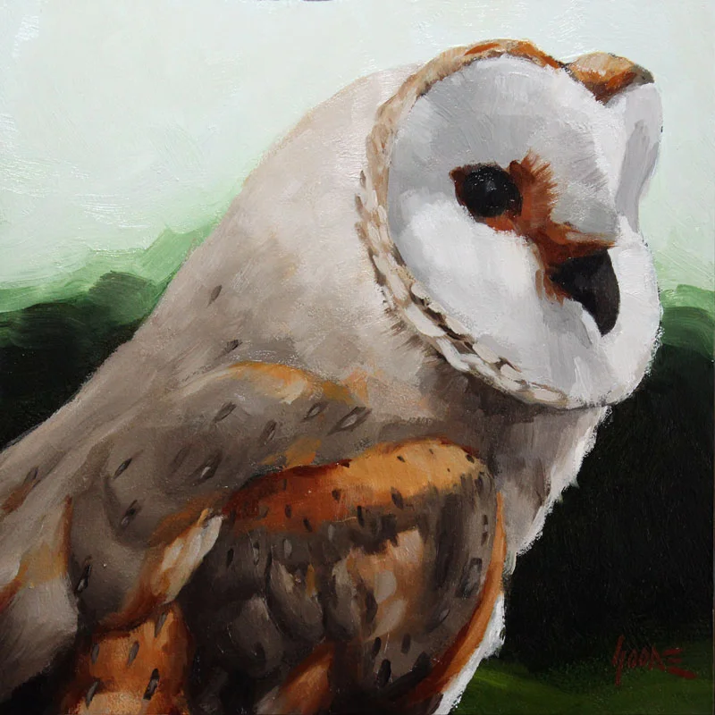 Barn Owl No.2