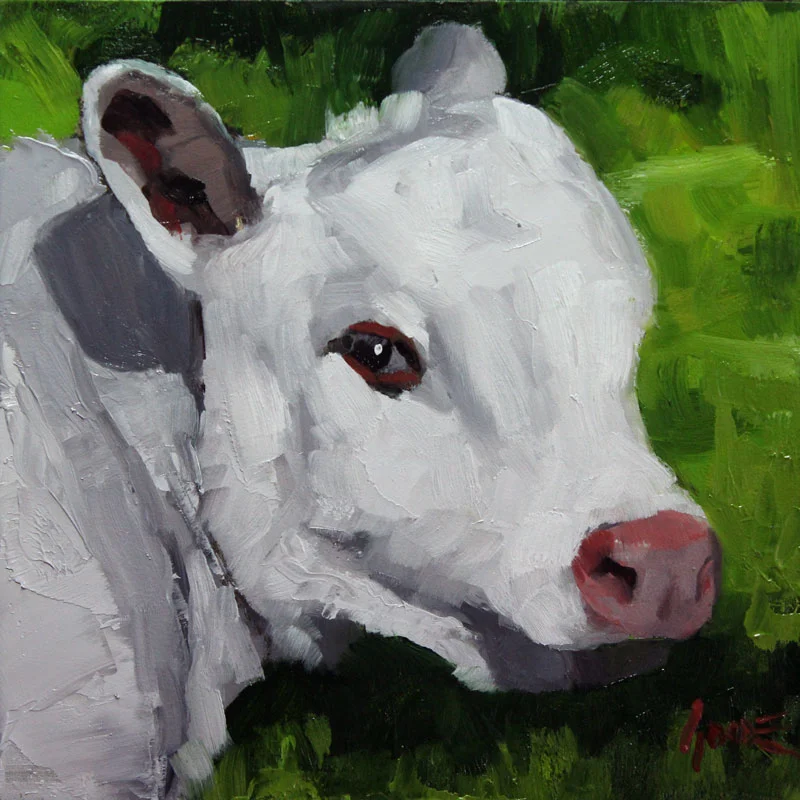 White Hereford Calf