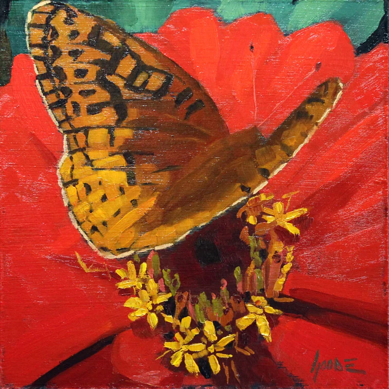 Fritillary Butterfly No.1