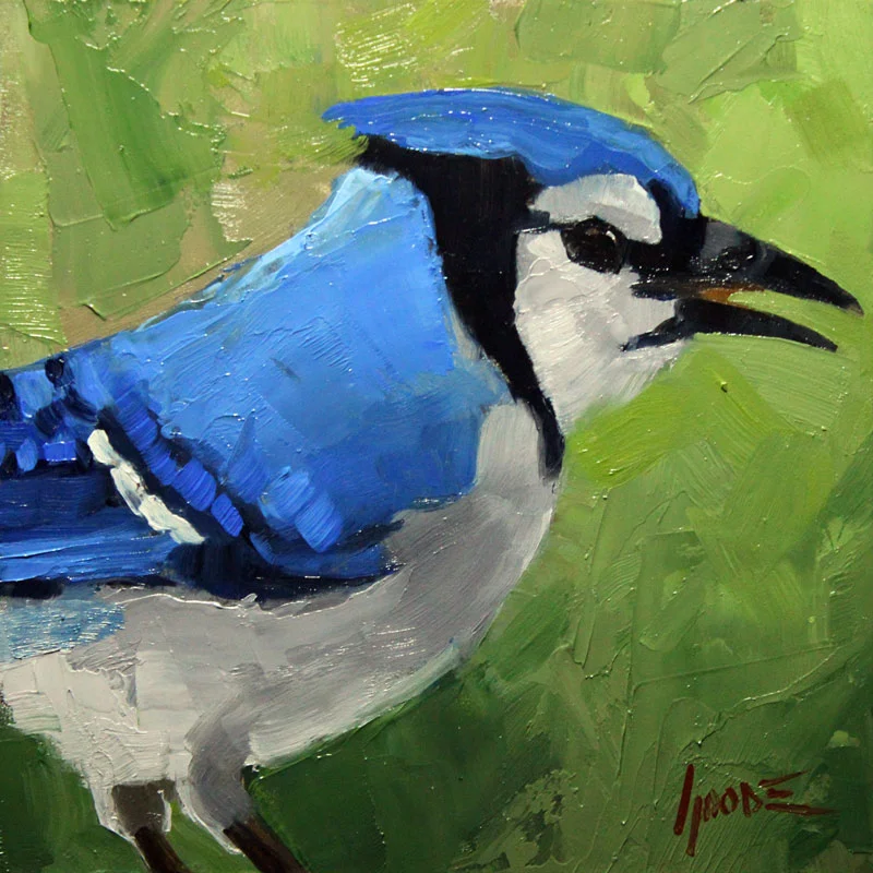 Blue Jay No.1