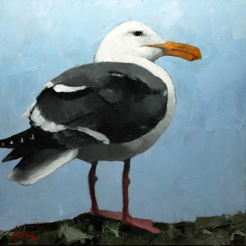 Seagull no.1
