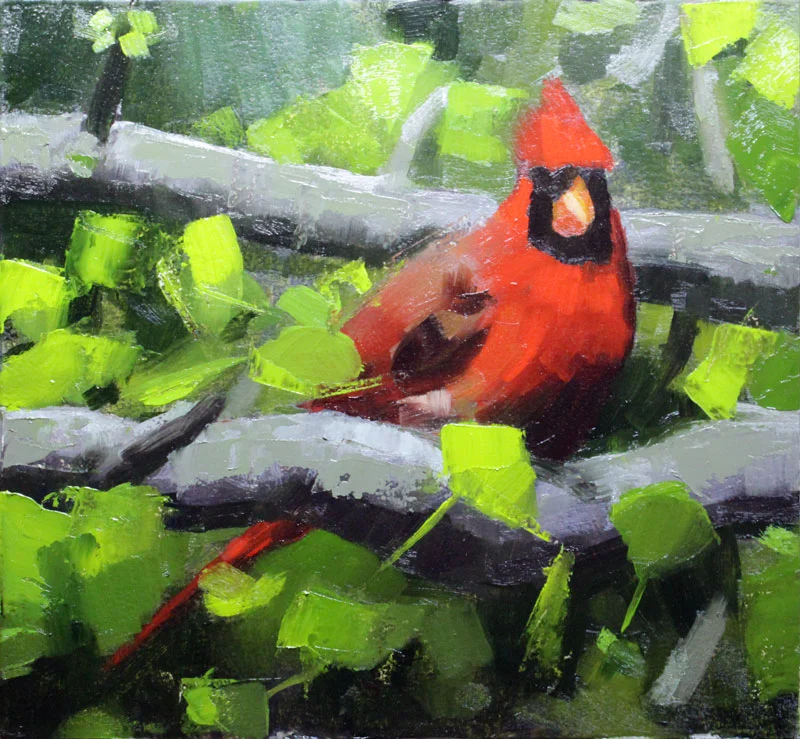 Spring-Cardinal.jpg