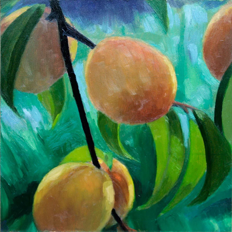 Peaches on the Branch