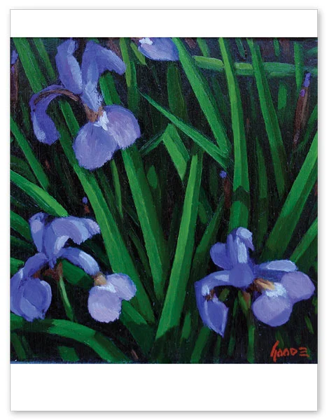 Japanese Irises (set of 5)