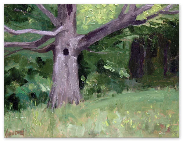 Gnarly Maple Tree (set of 5)