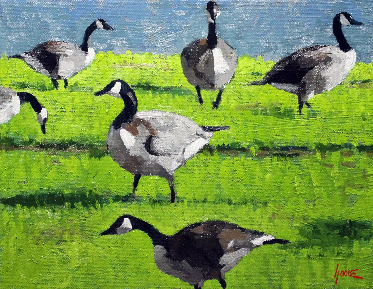 Canadian Geese No.2
