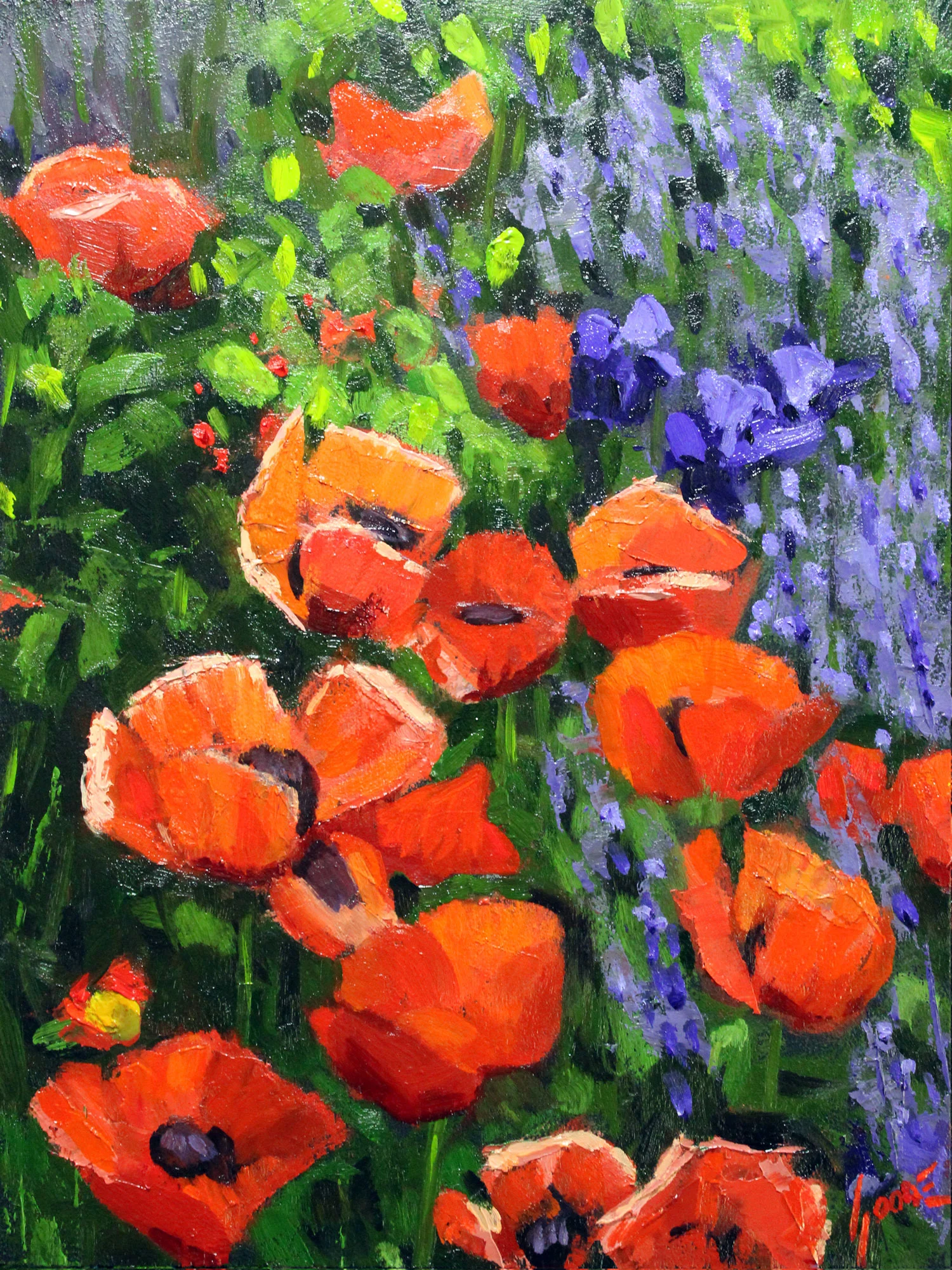 Poppies & Irises