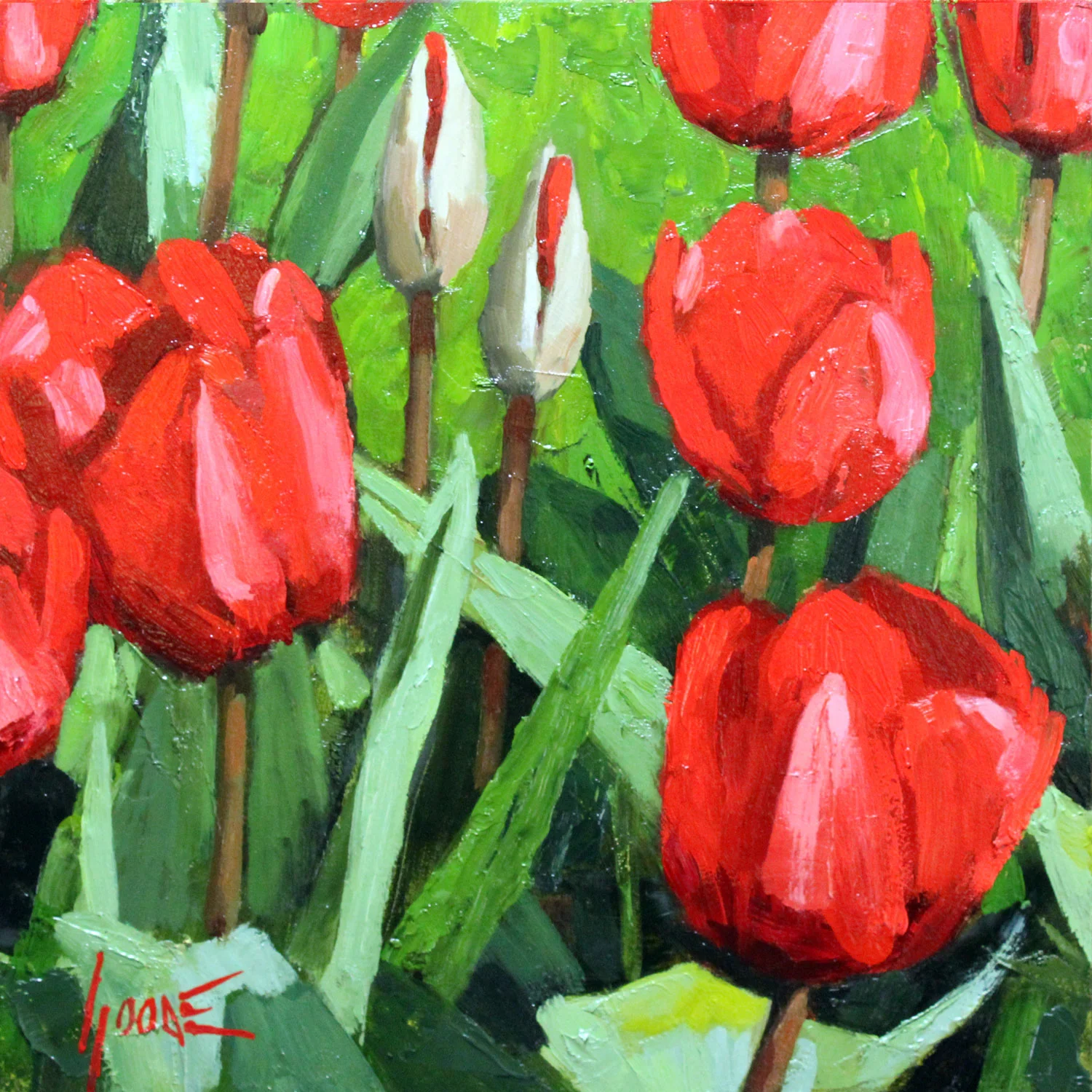 Tulips No.12