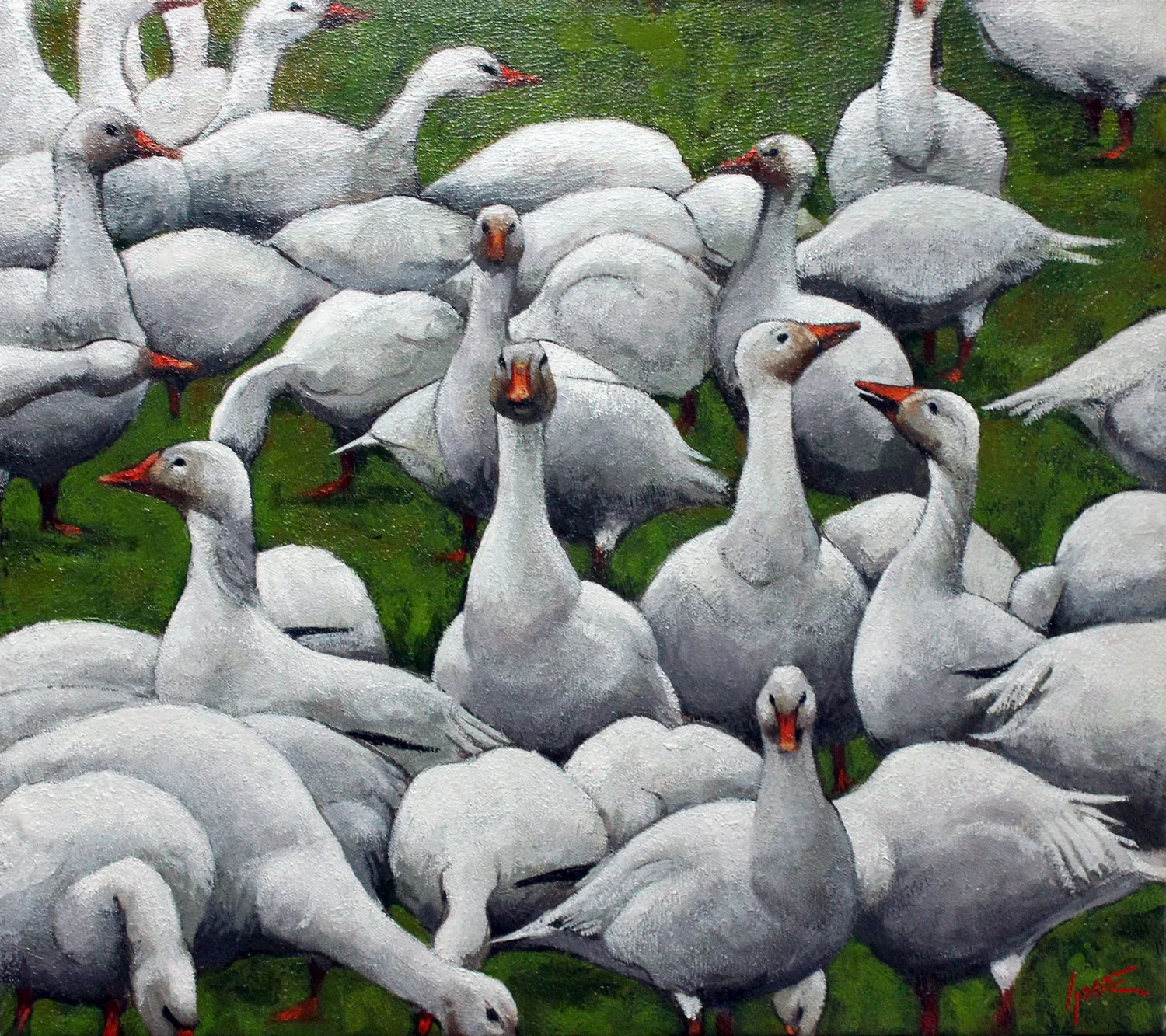 Gaggle.jpg
