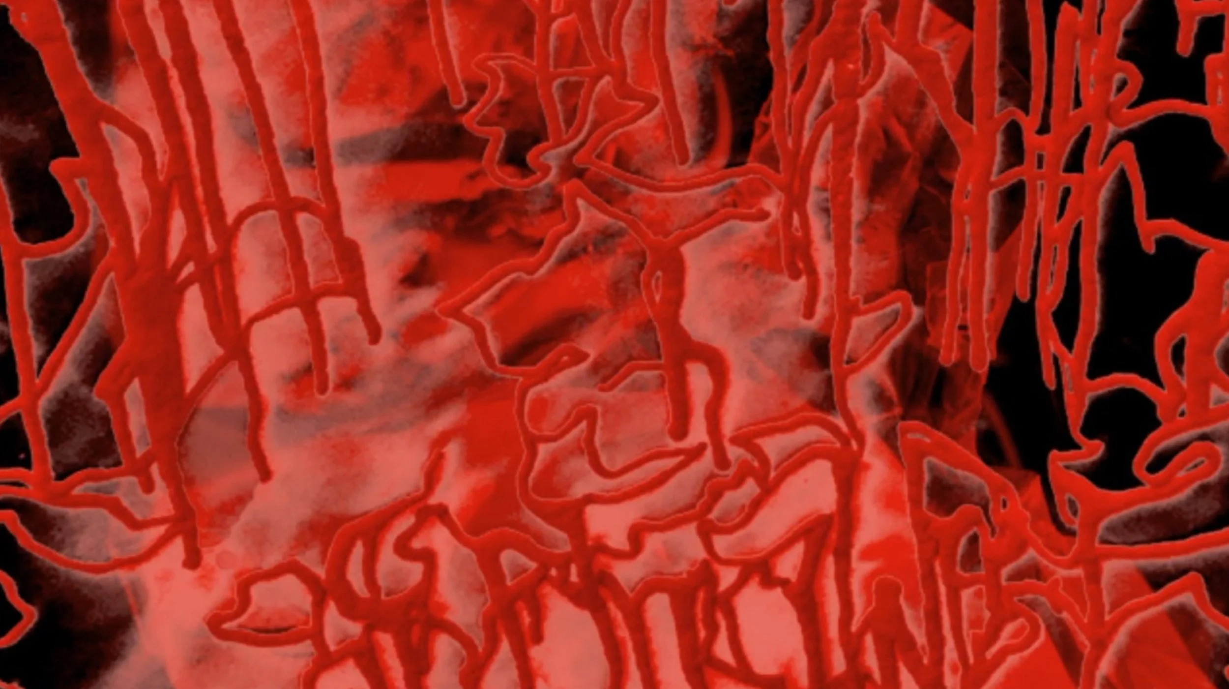 Screenshot 2025-02-28 at 13.56.jpeg