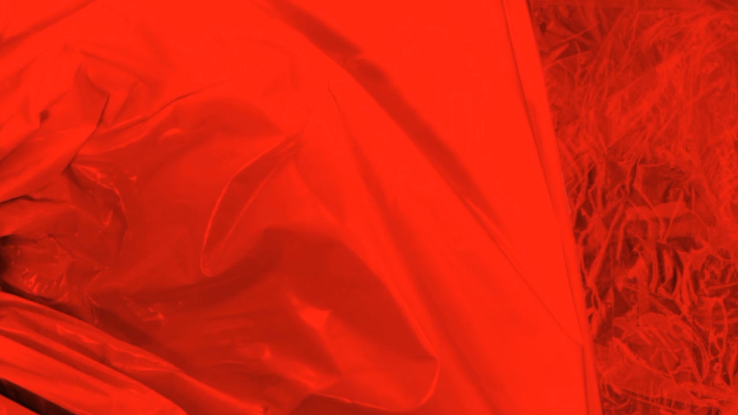 Screenshot 2025-02-28 at 14.03.jpeg