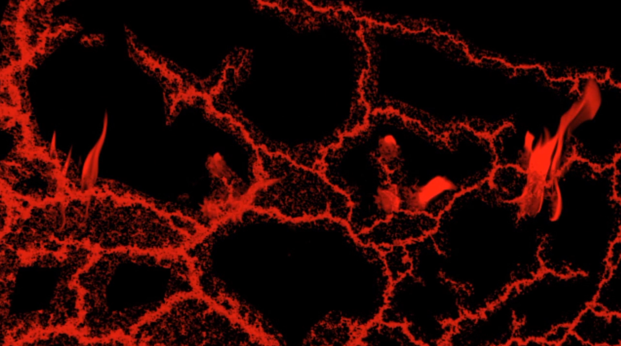 Screenshot 2025-02-28 at 14.04.jpeg