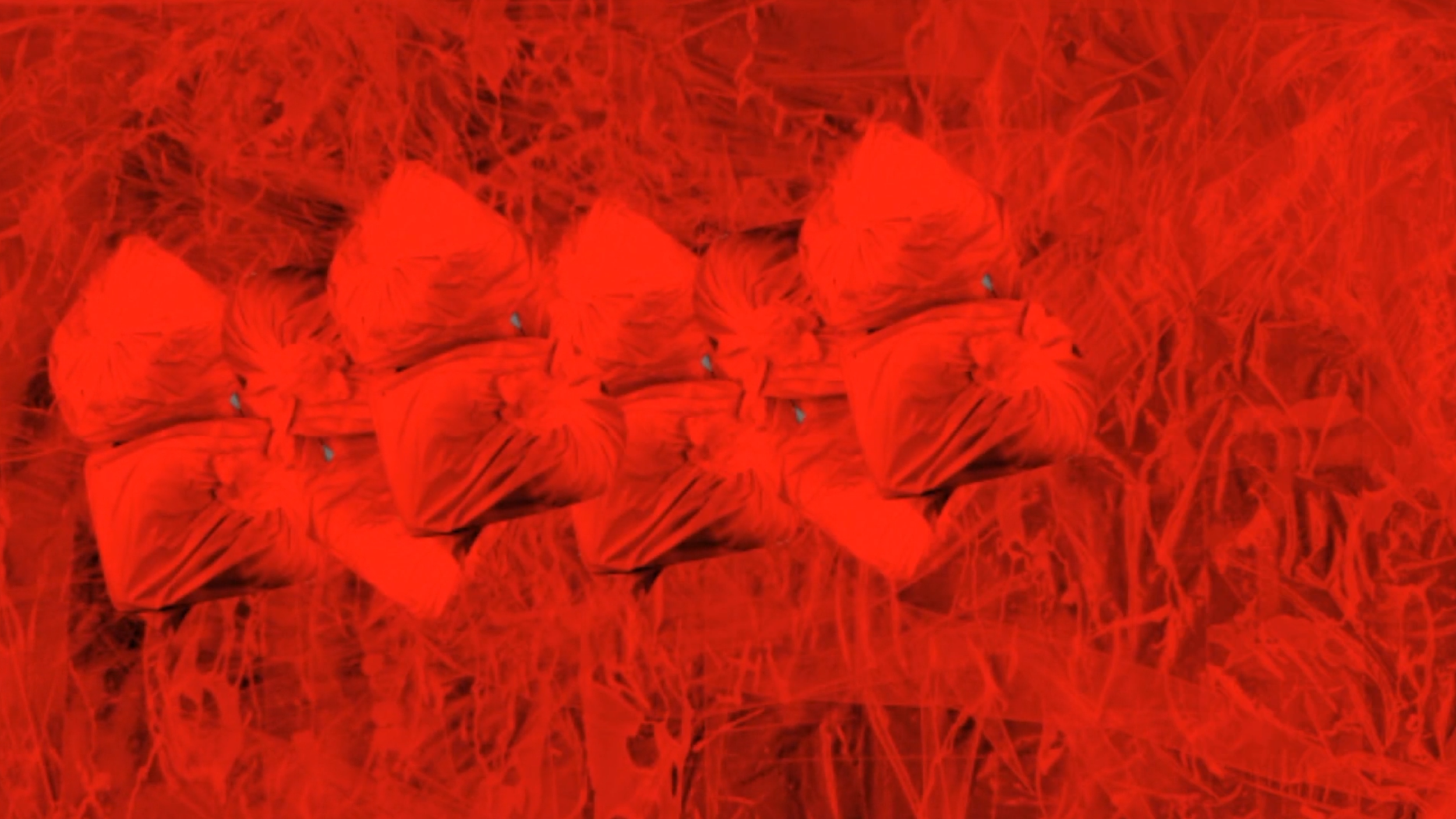 Screenshot 2025-02-28 at 14.07.jpeg