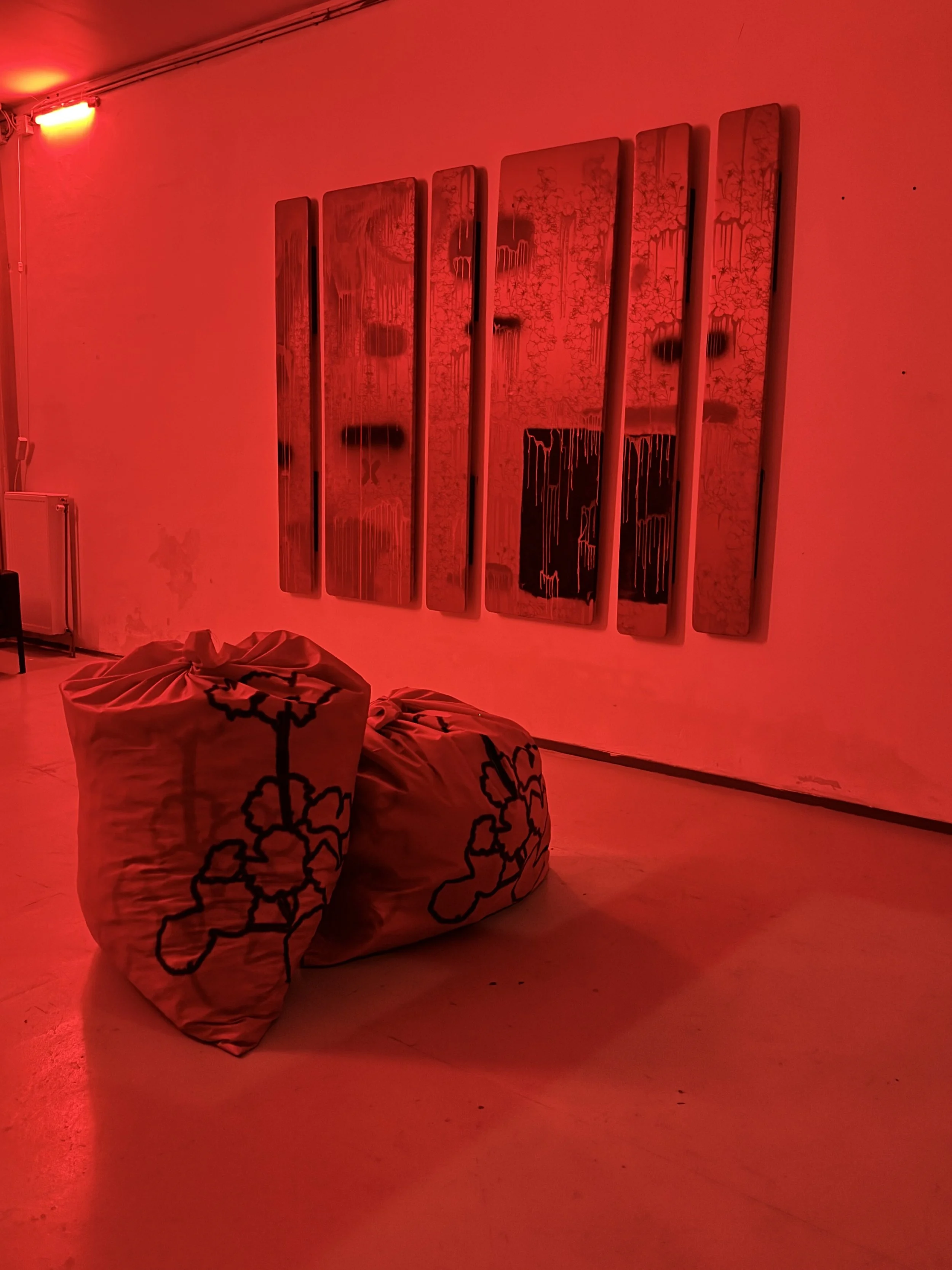 RED_2025-07-16 23.27.15 2.jpeg