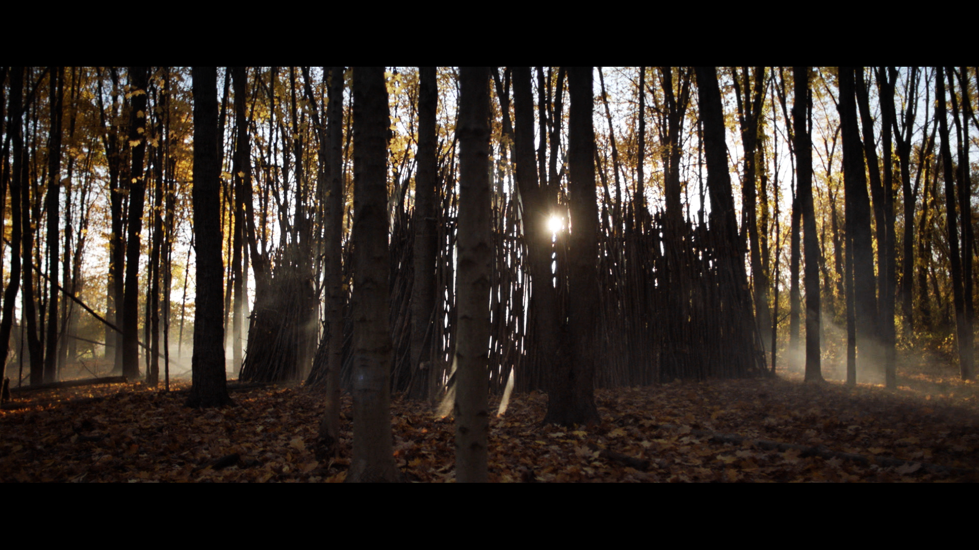 Susanna_Film Still_Exterior Garden_3.jpeg