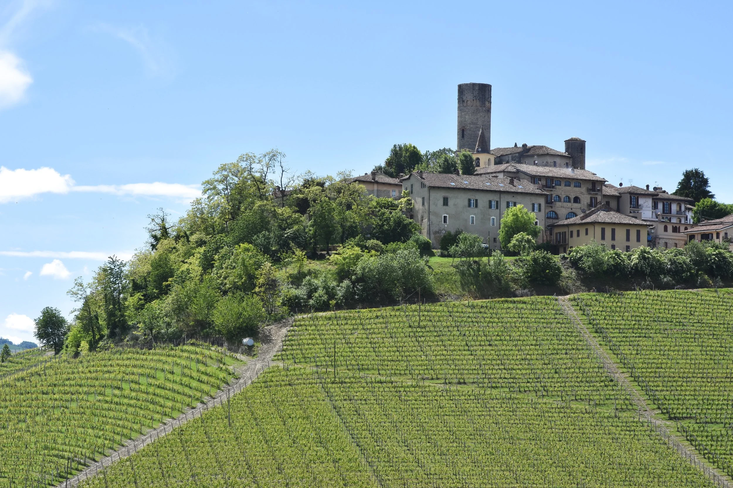  Castiglione Falletto - from the north west 