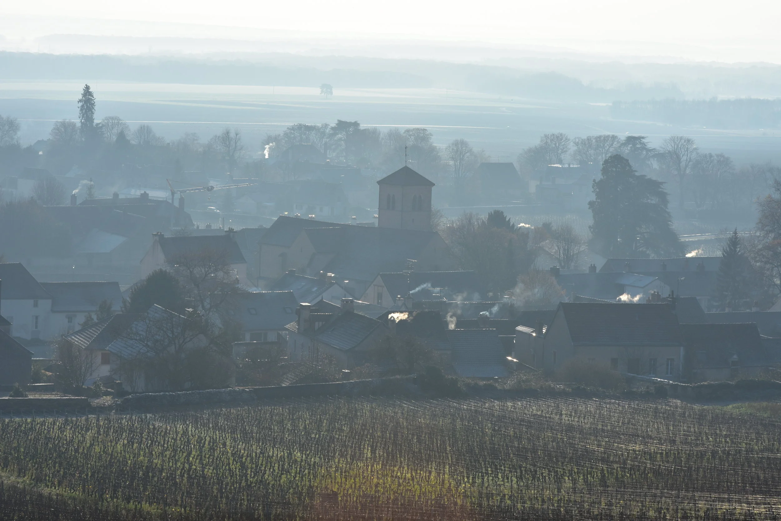  Gevrey Chambertin from the village slopes to the west 